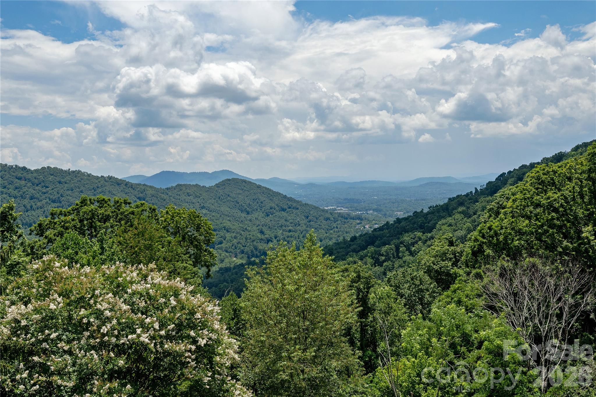 811 Town Mountain Road
