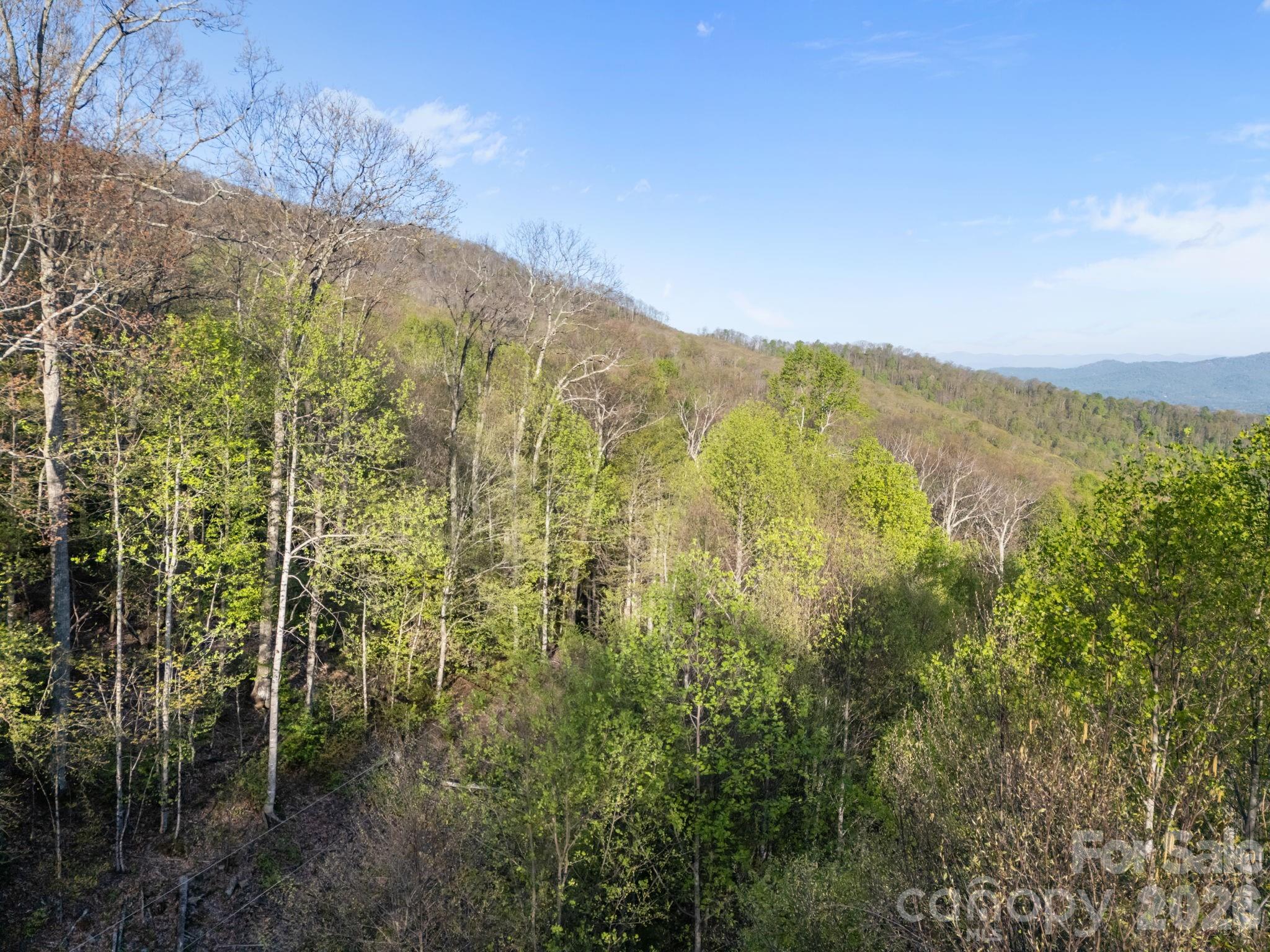58 Mountain Azalea Drive
