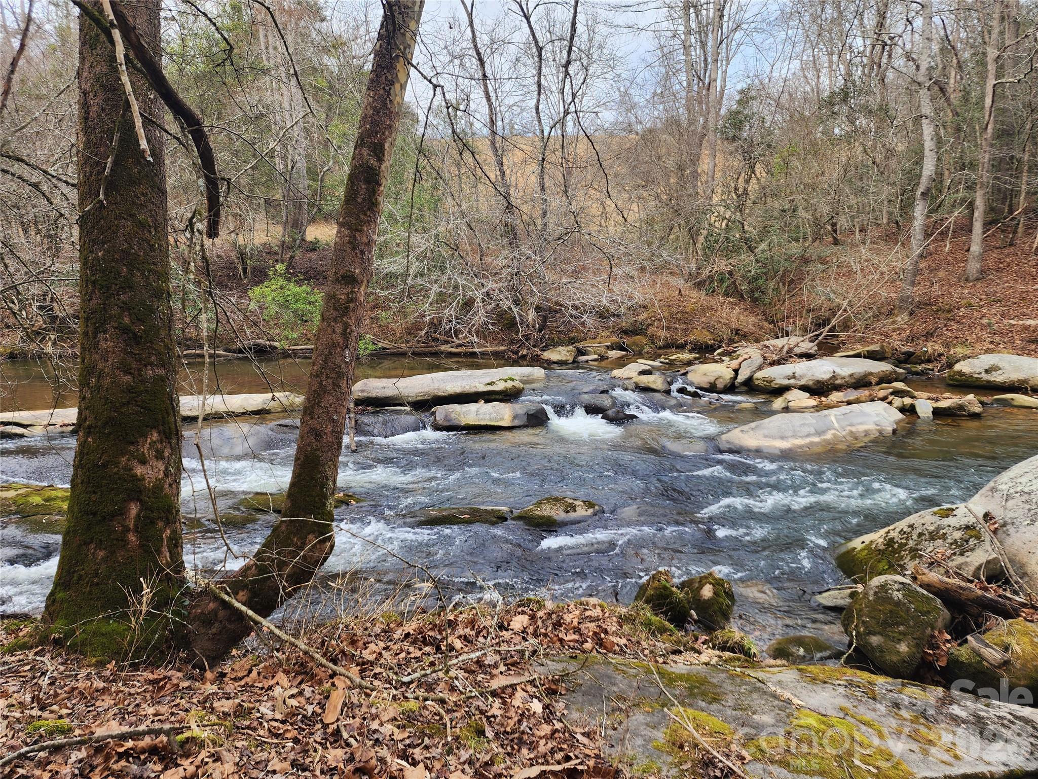 Roaring River Preserve - Land