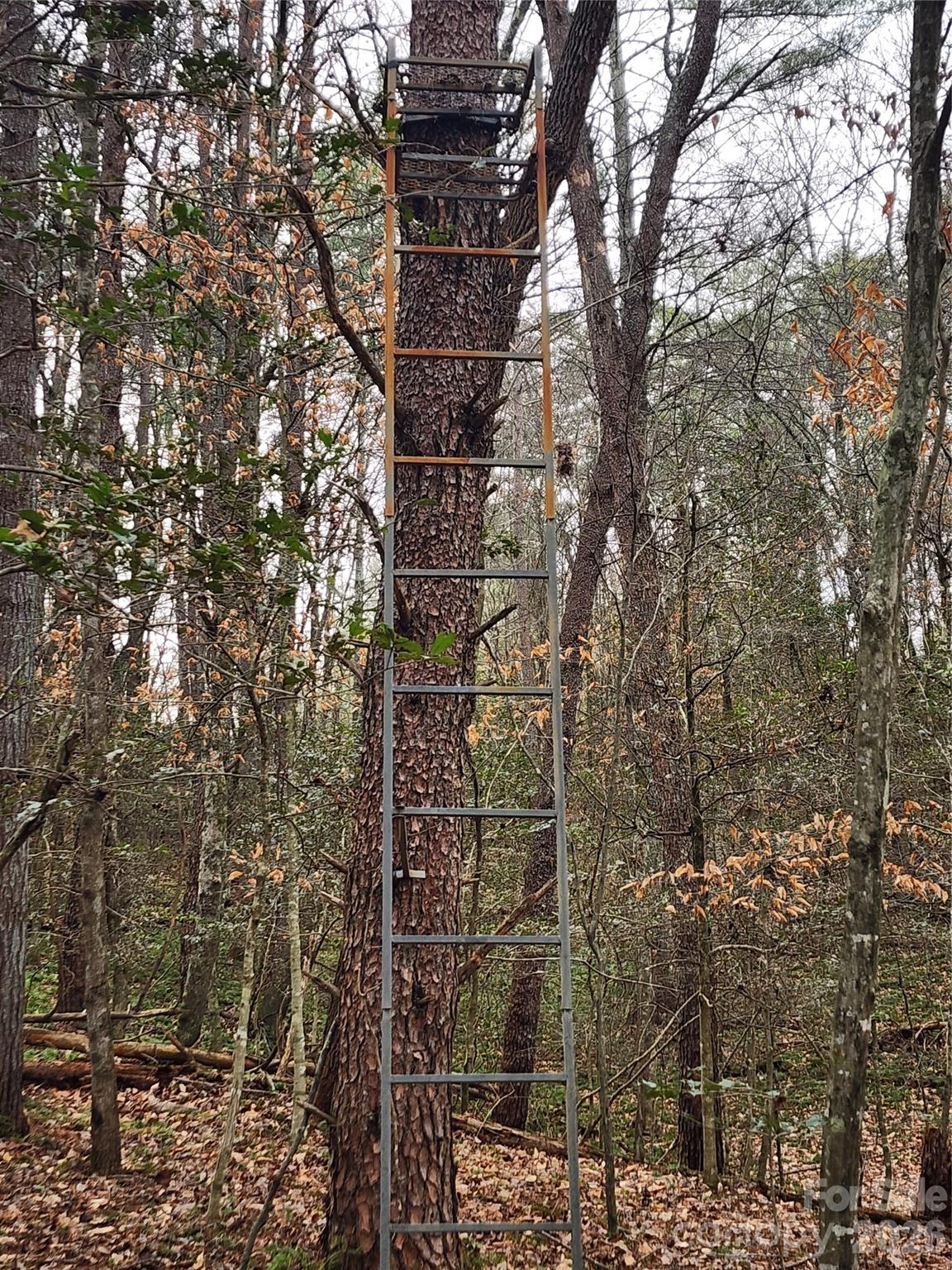 Roaring River Preserve - Land