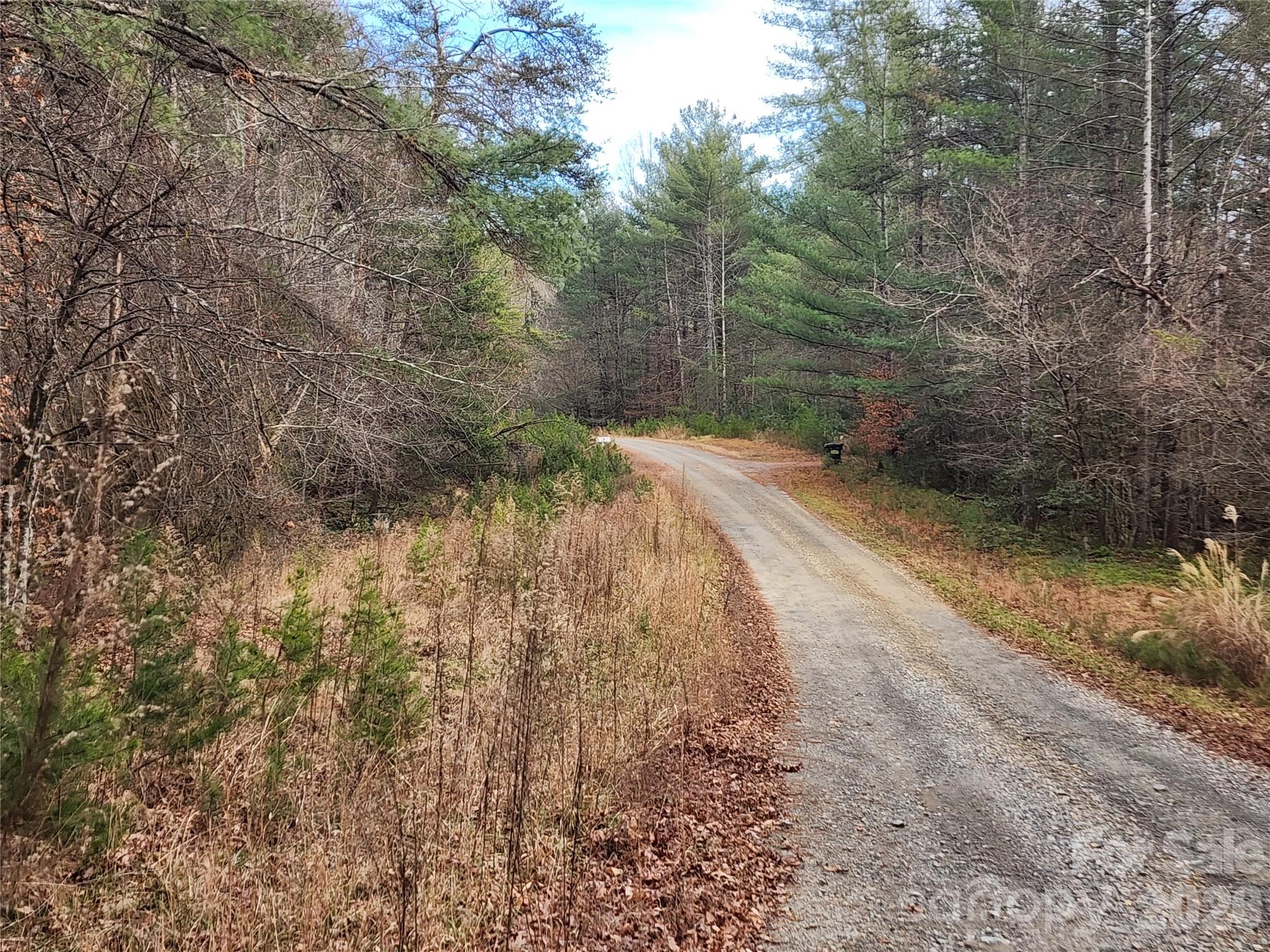 Roaring River Preserve - Land