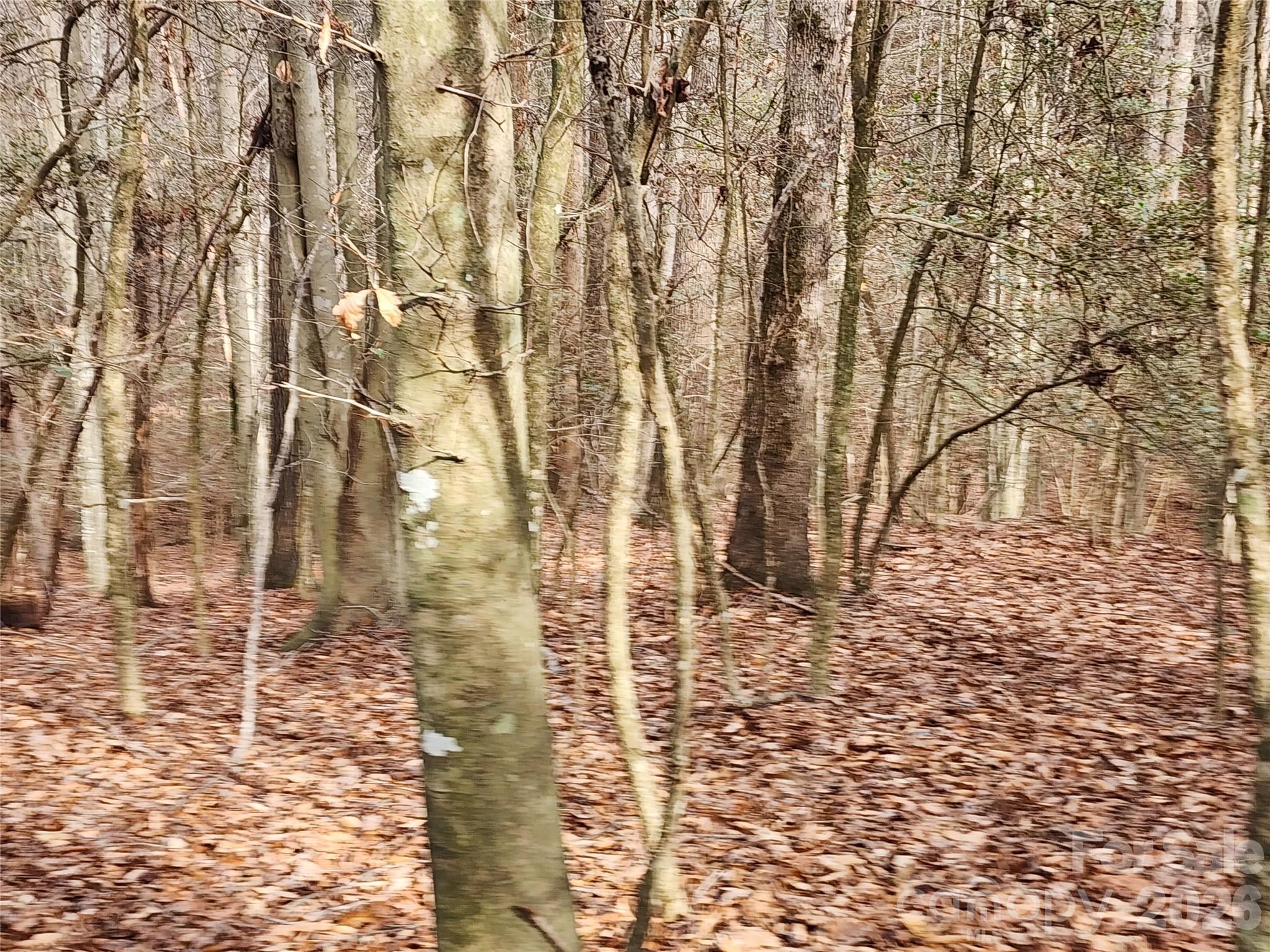 Roaring River Preserve - Land