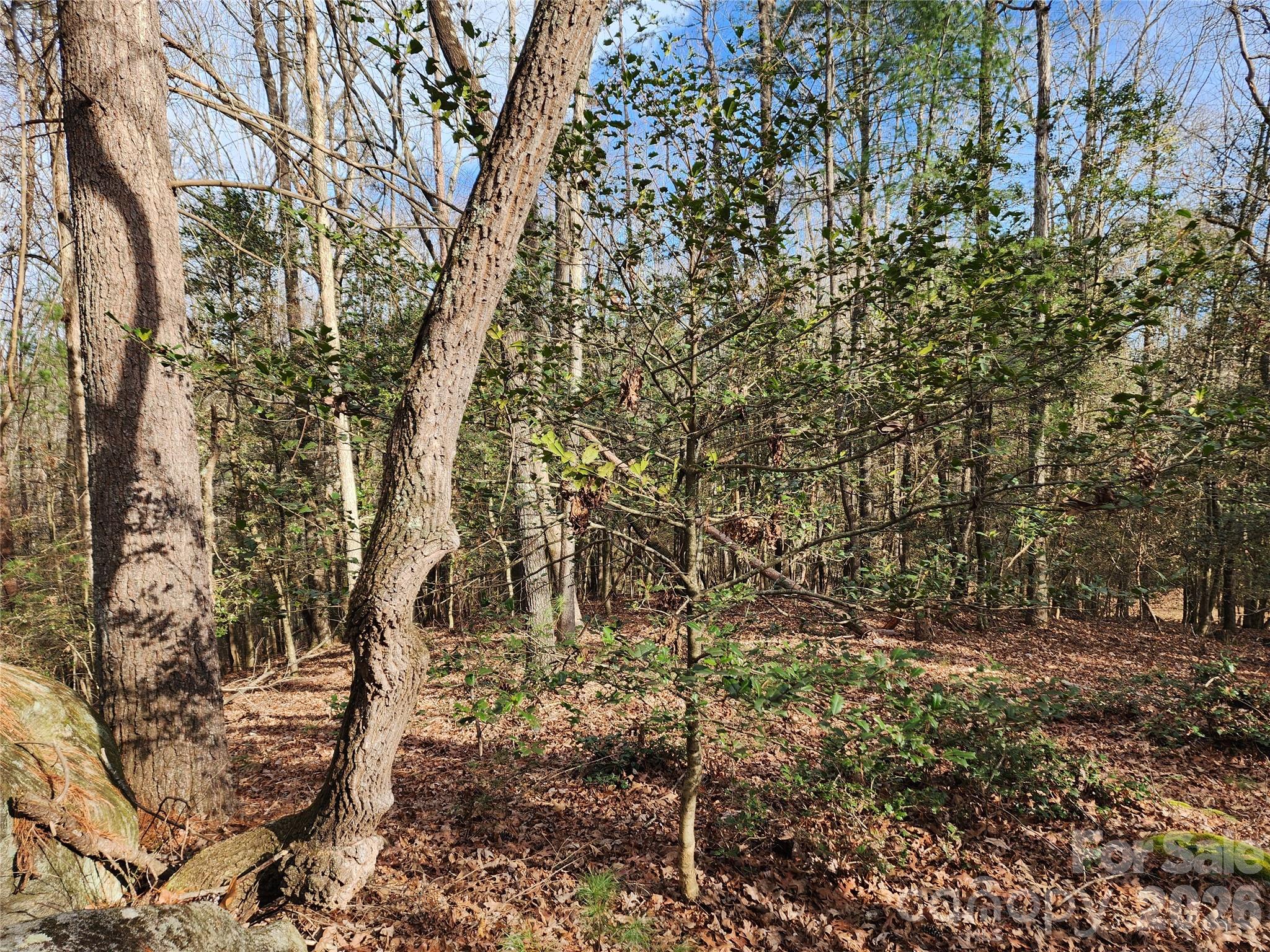 0 Rainbow Trout Drive 14