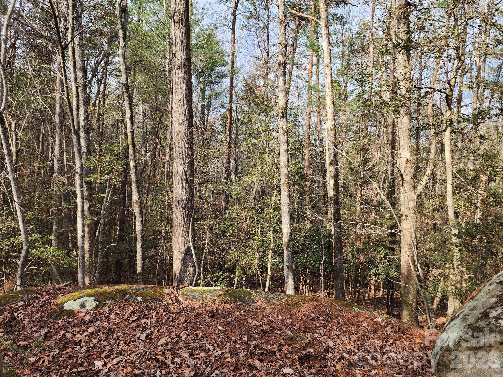 0 Rainbow Trout Drive 14