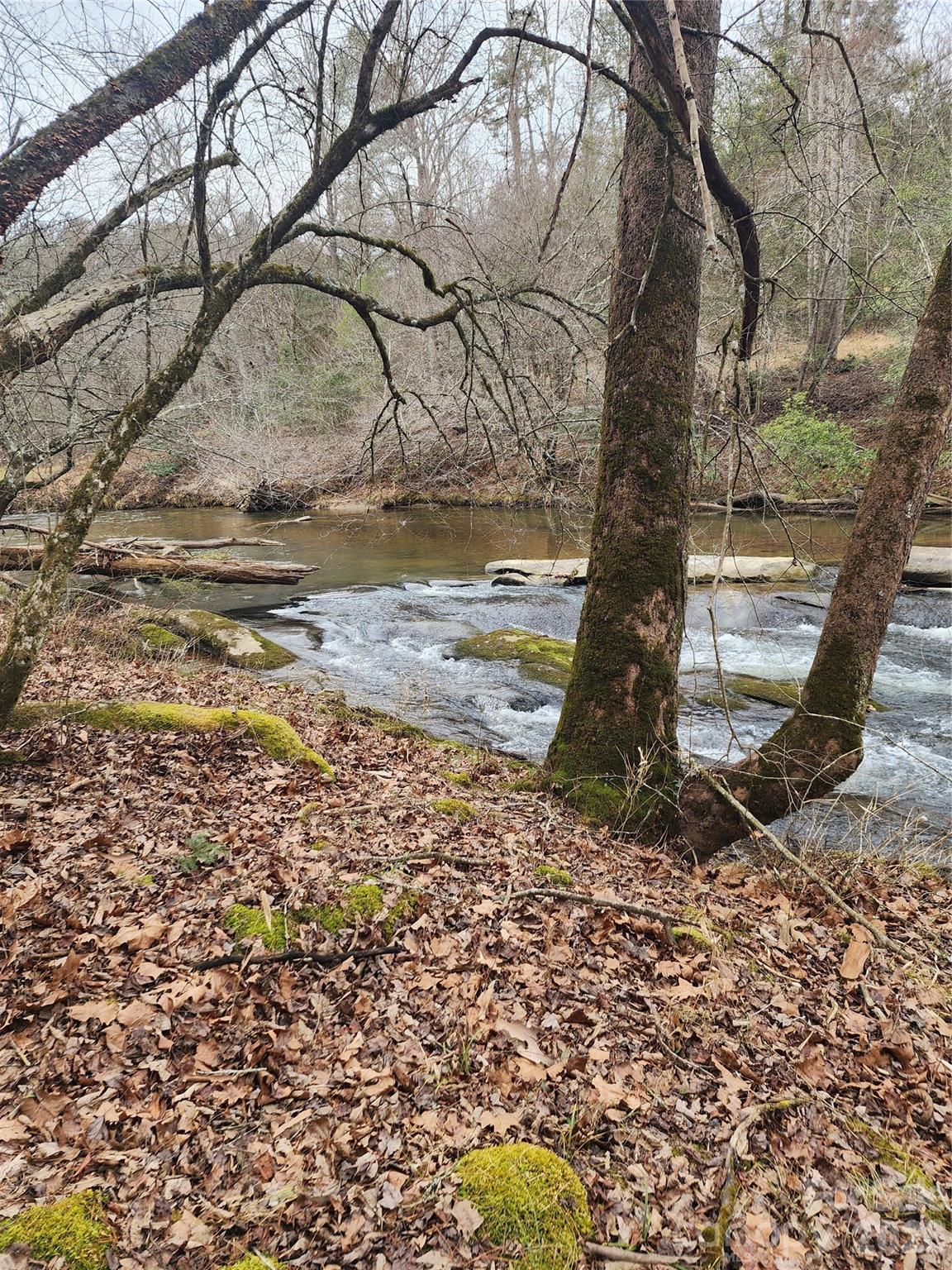 Roaring River Preserve - Land