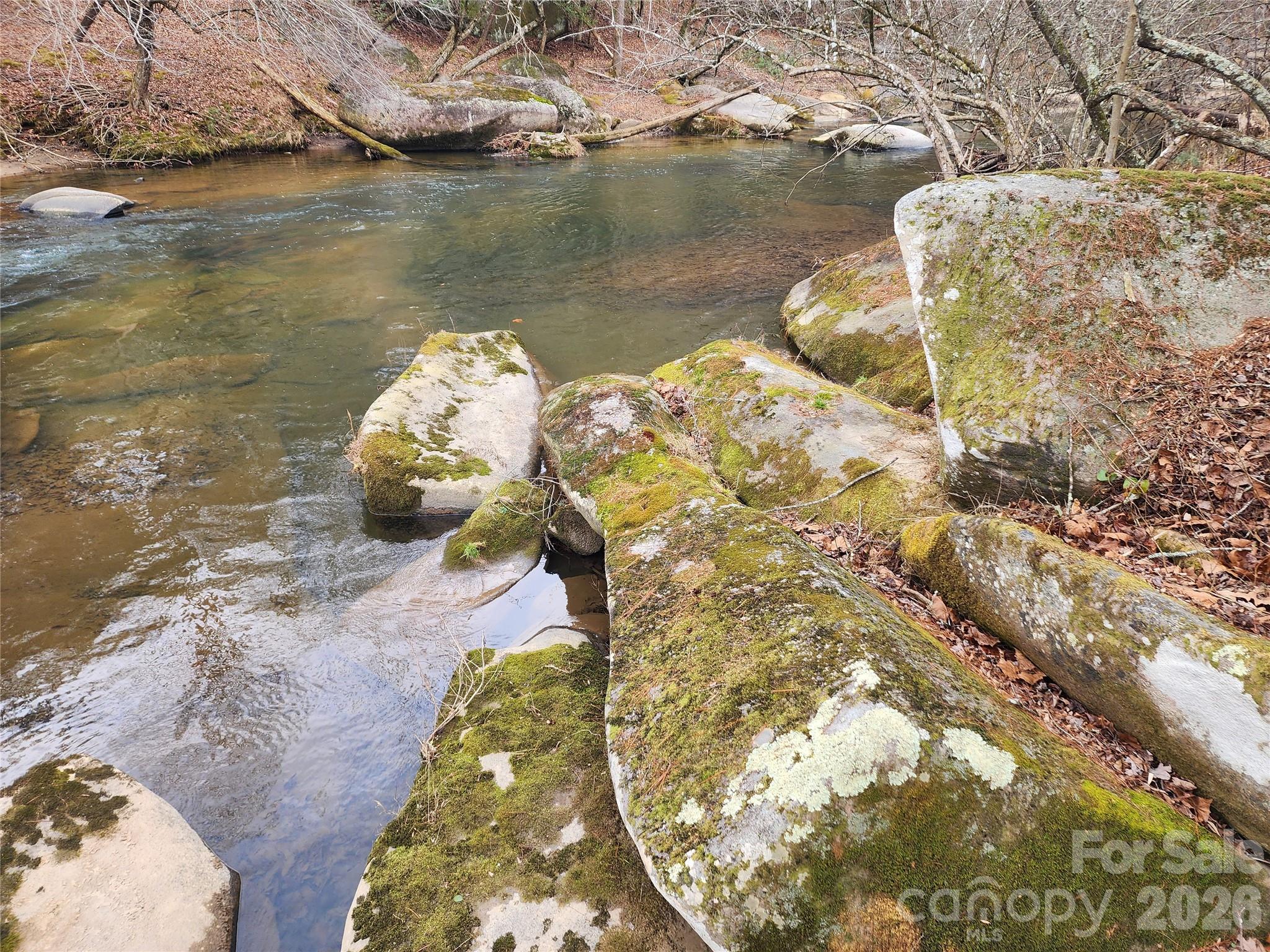 Roaring River Preserve - Land