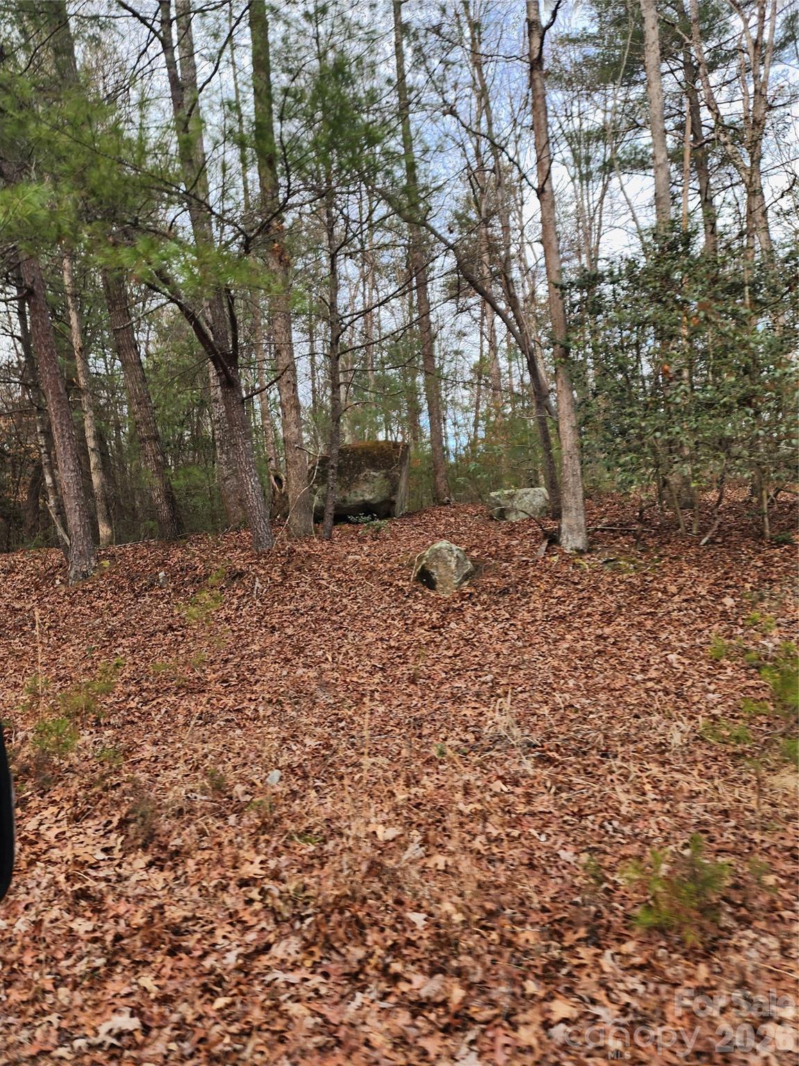 Roaring River Preserve - Land