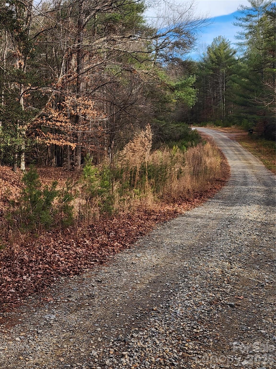 Roaring River Preserve - Land