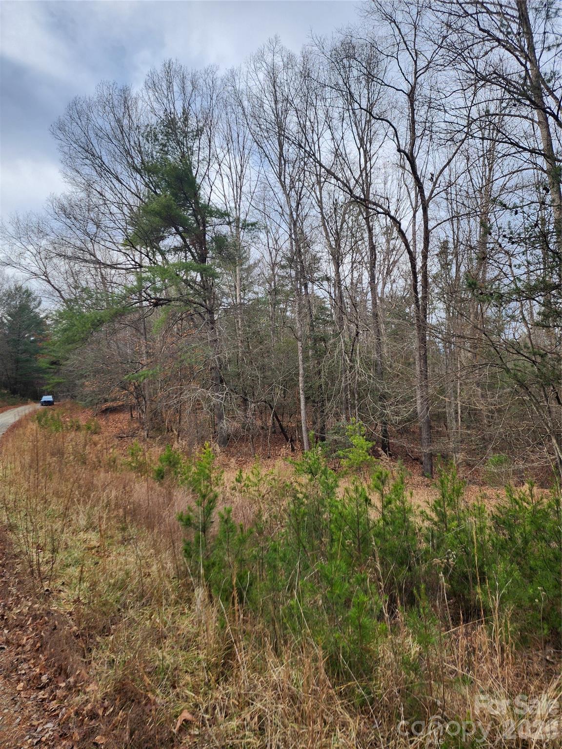 Roaring River Preserve - Land