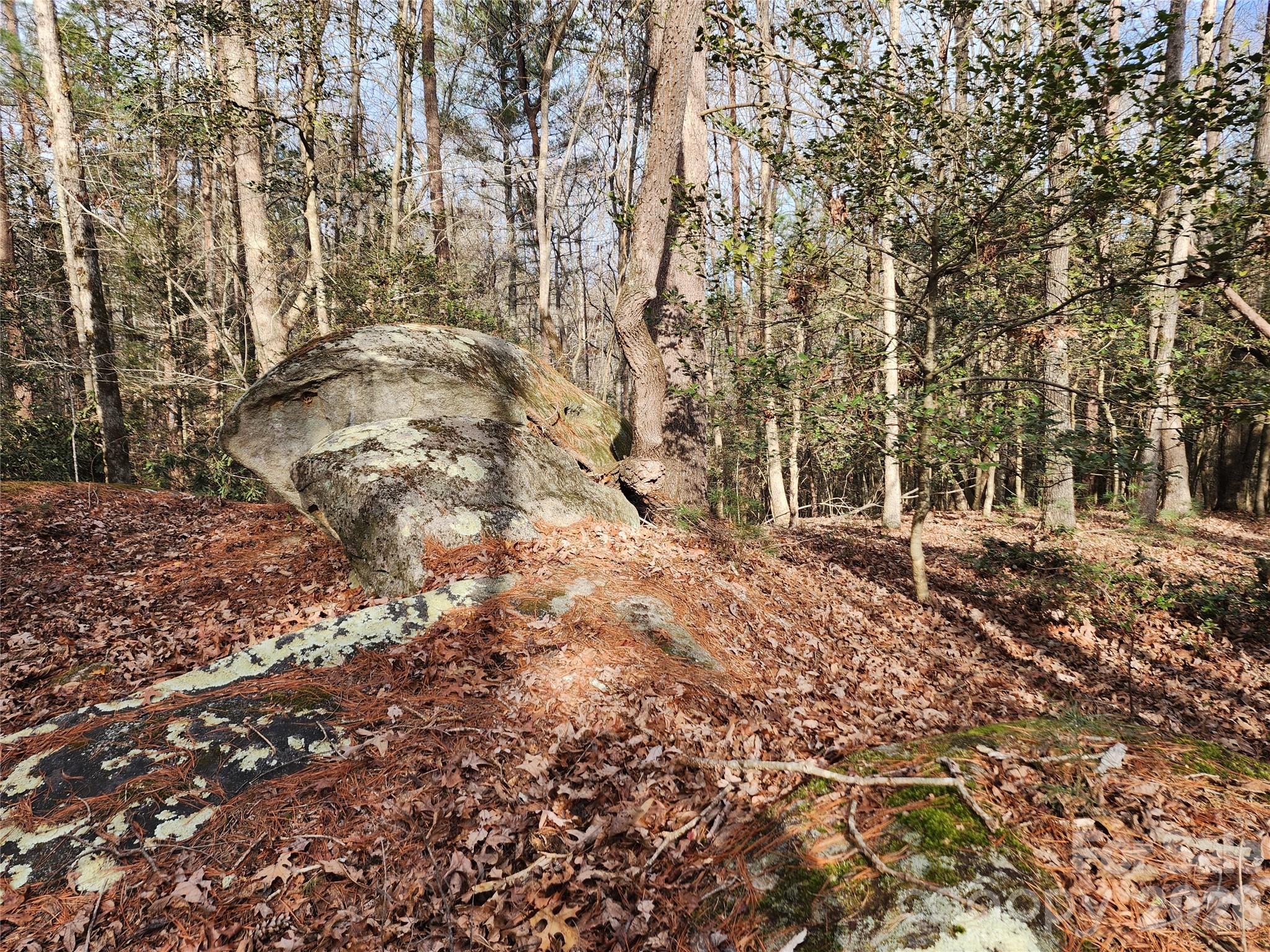 0 Rainbow Trout Drive 14