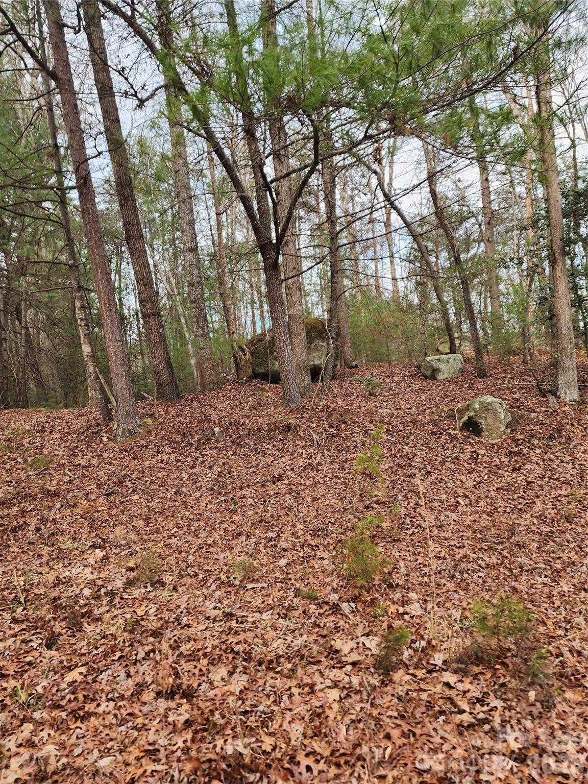 Roaring River Preserve - Land