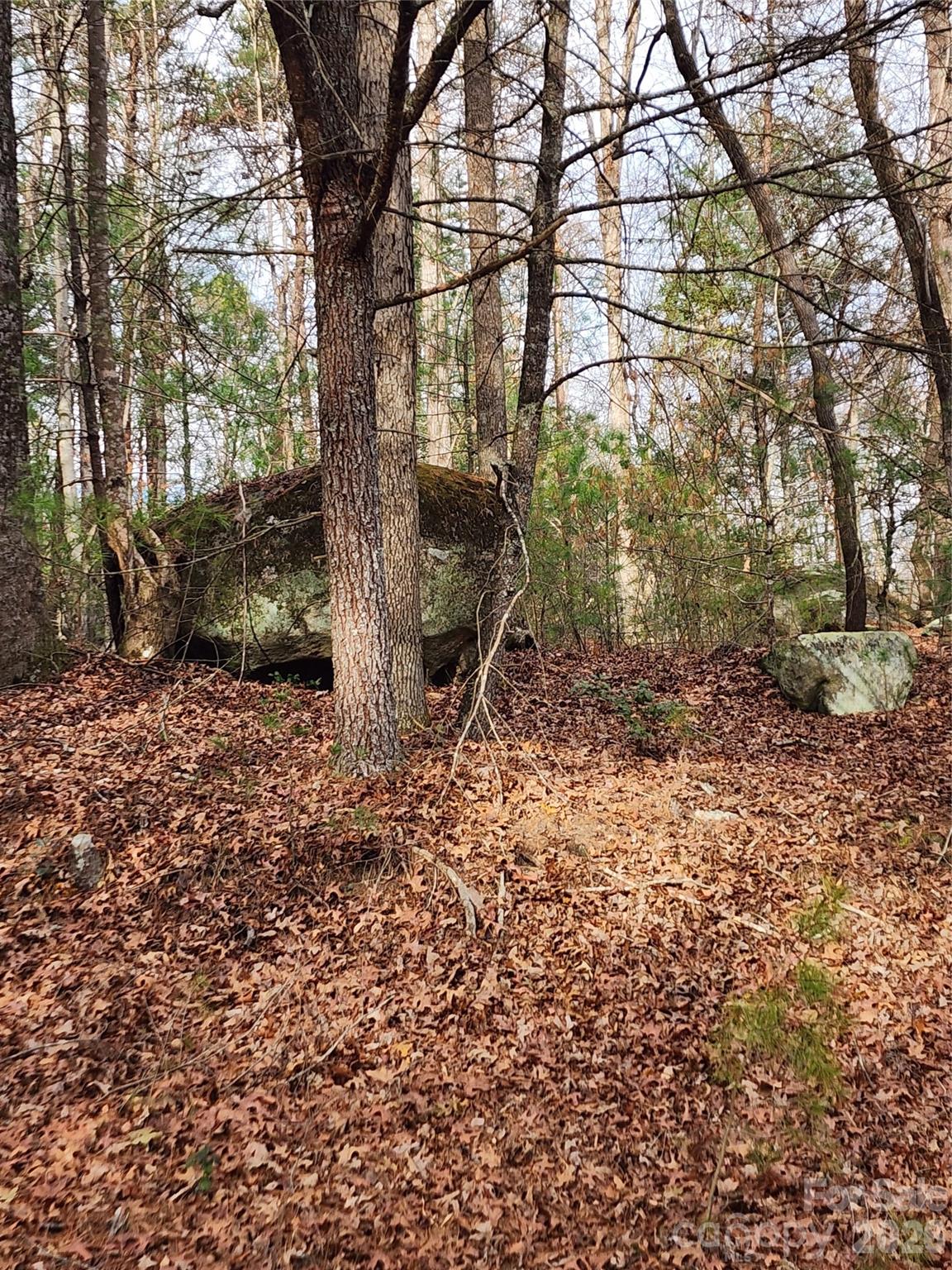 Roaring River Preserve - Land
