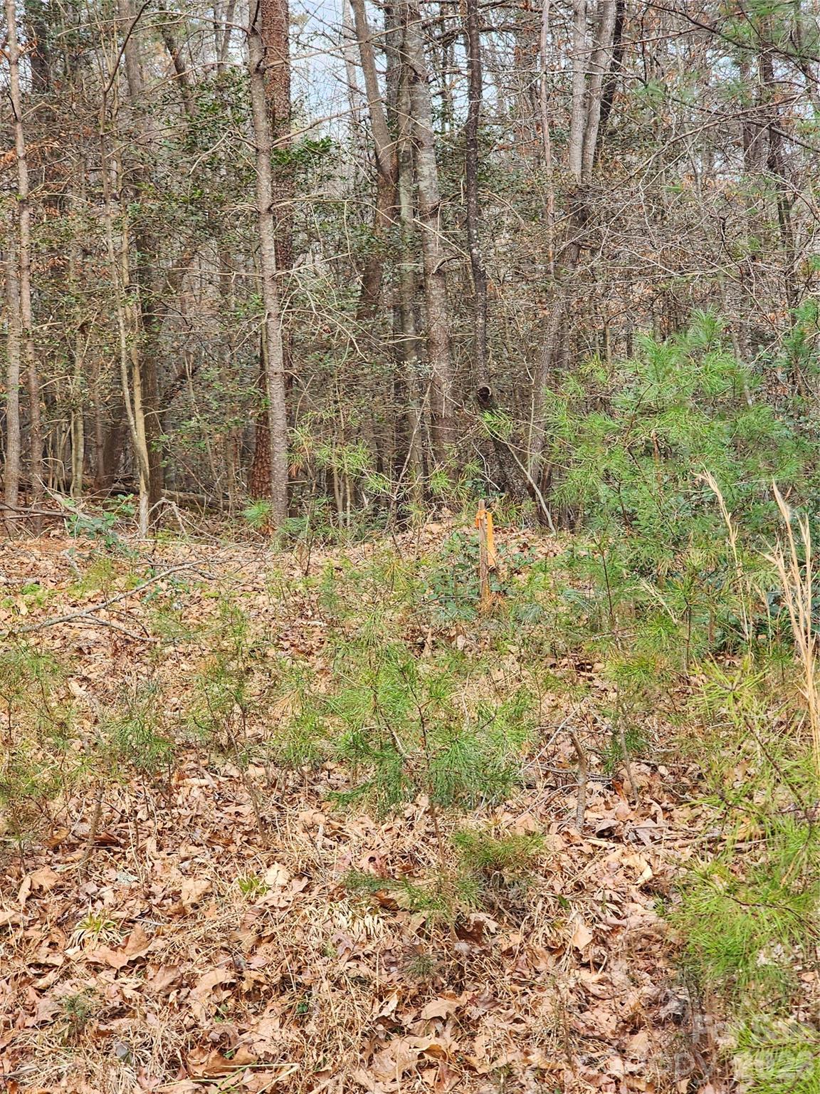 Roaring River Preserve - Land