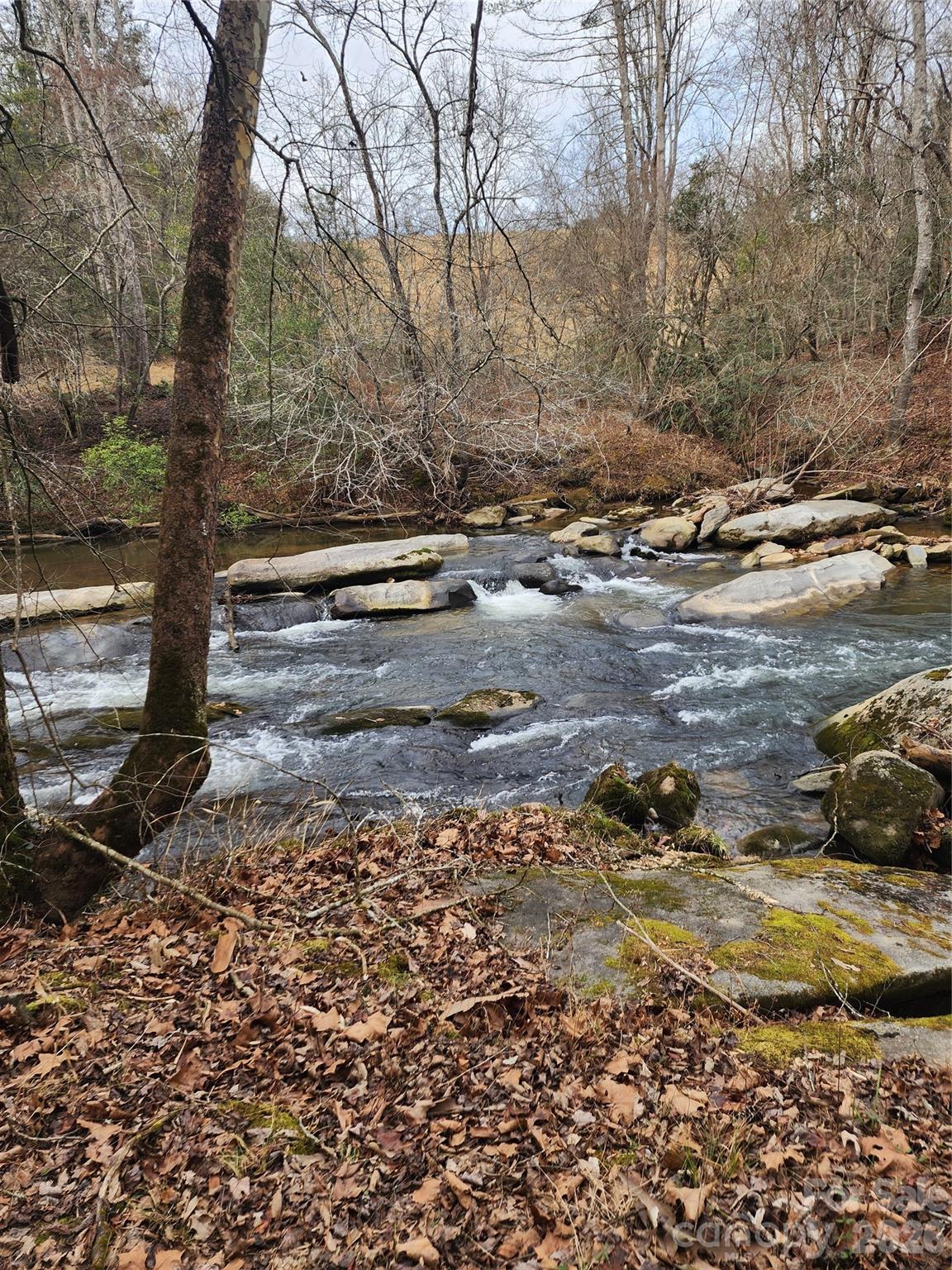 Roaring River Preserve - Land
