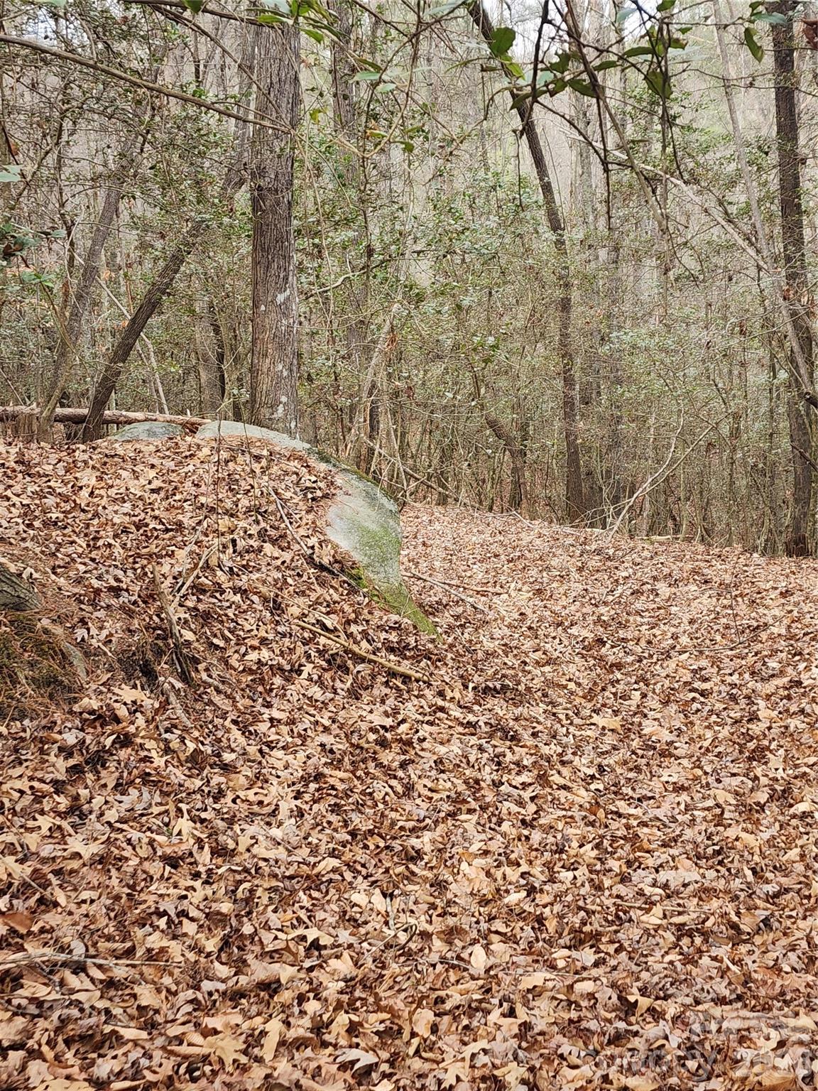 Roaring River Preserve - Land