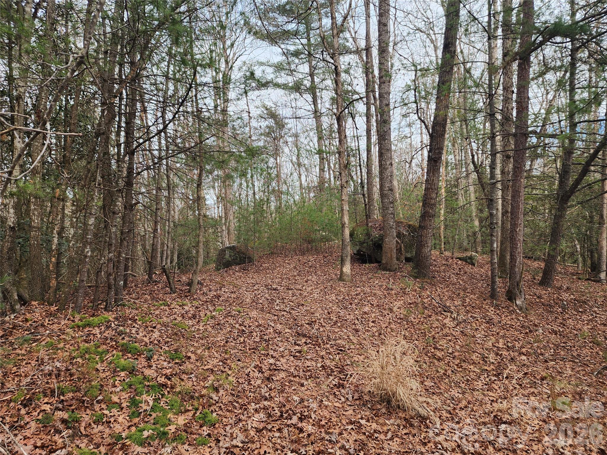Roaring River Preserve - Land