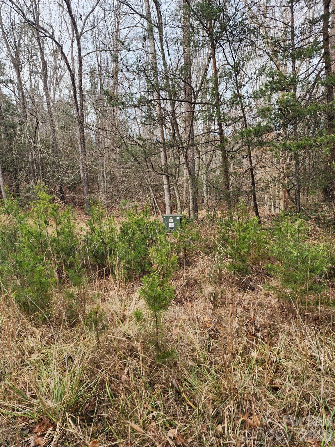 Roaring River Preserve - Land