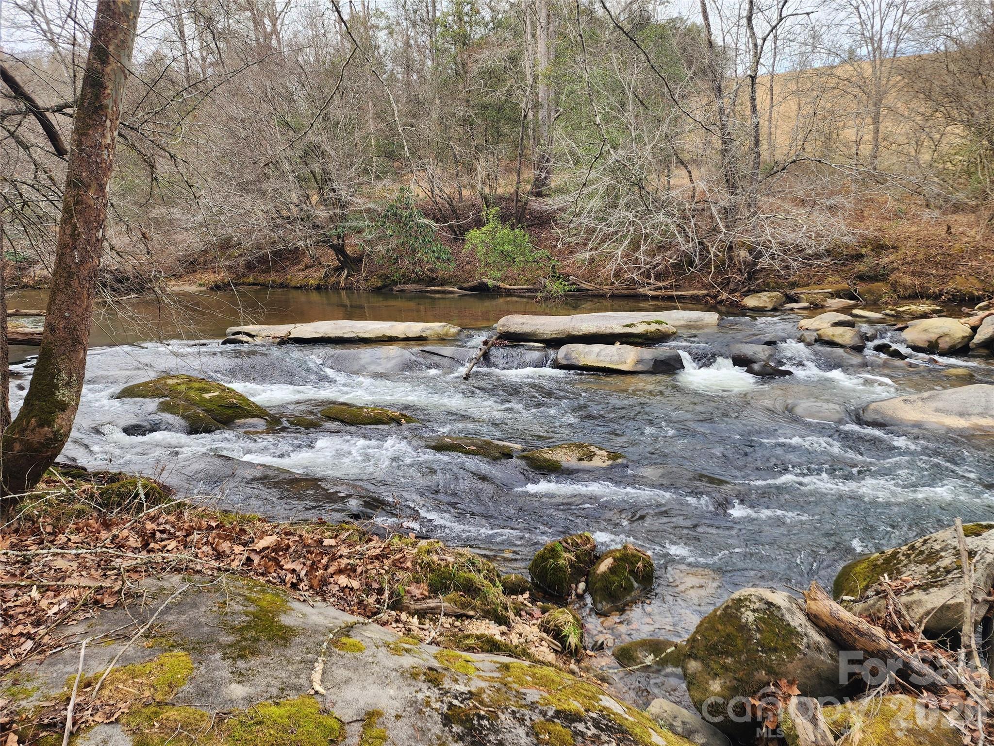 Roaring River Preserve - Land