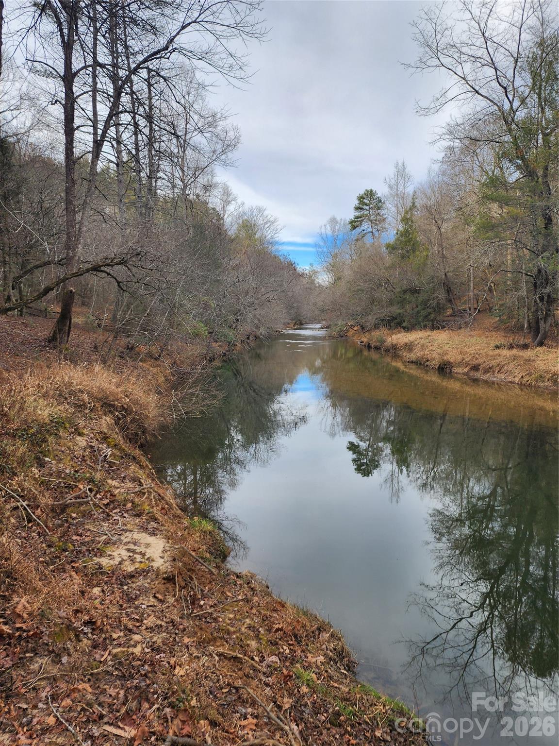 Roaring River Preserve - Land