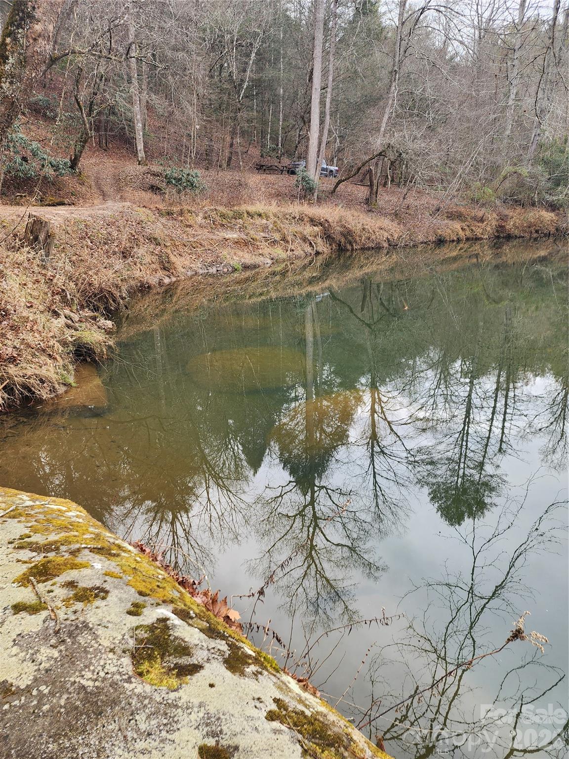 Roaring River Preserve - Land