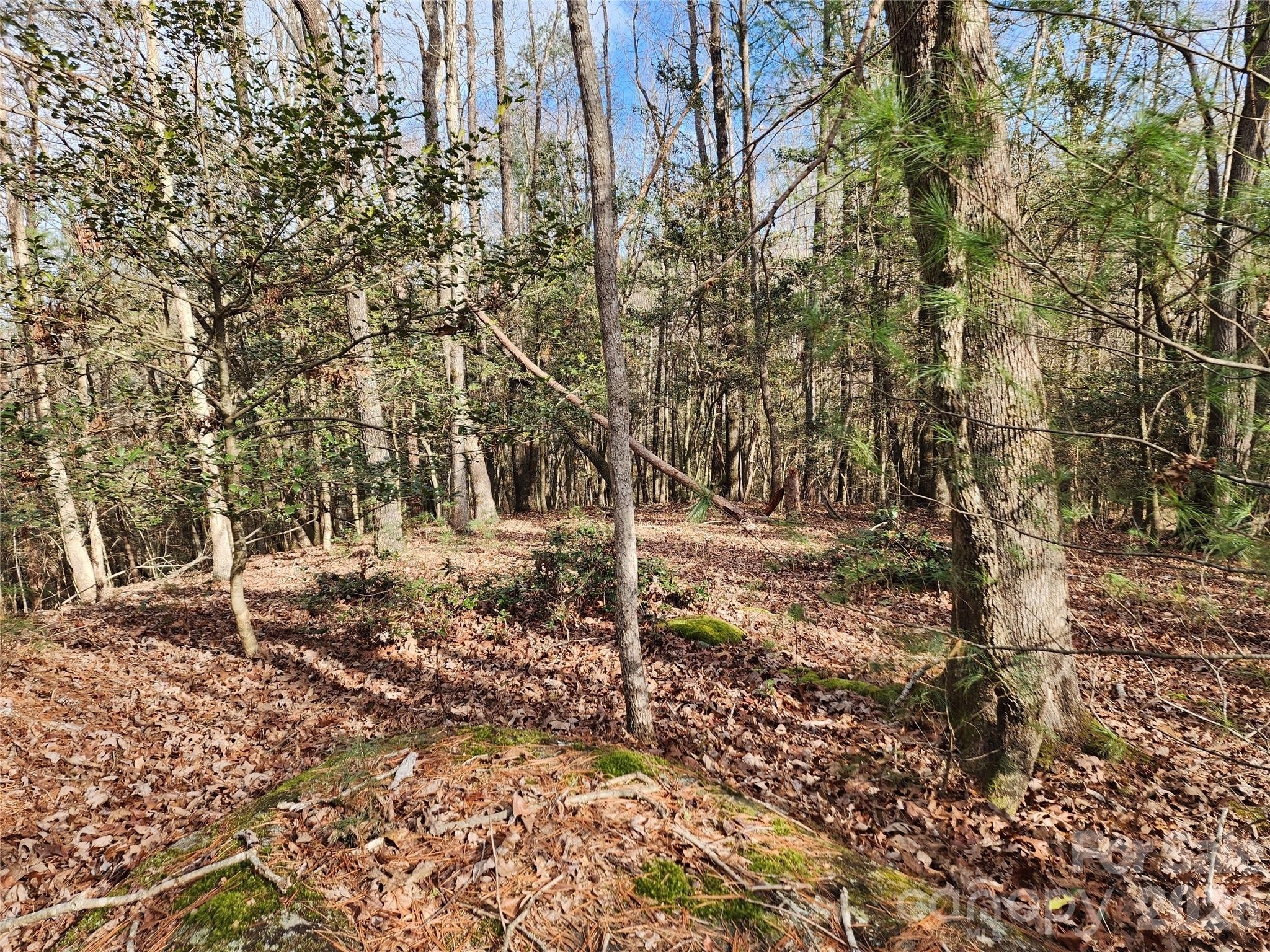 0 Rainbow Trout Drive 14