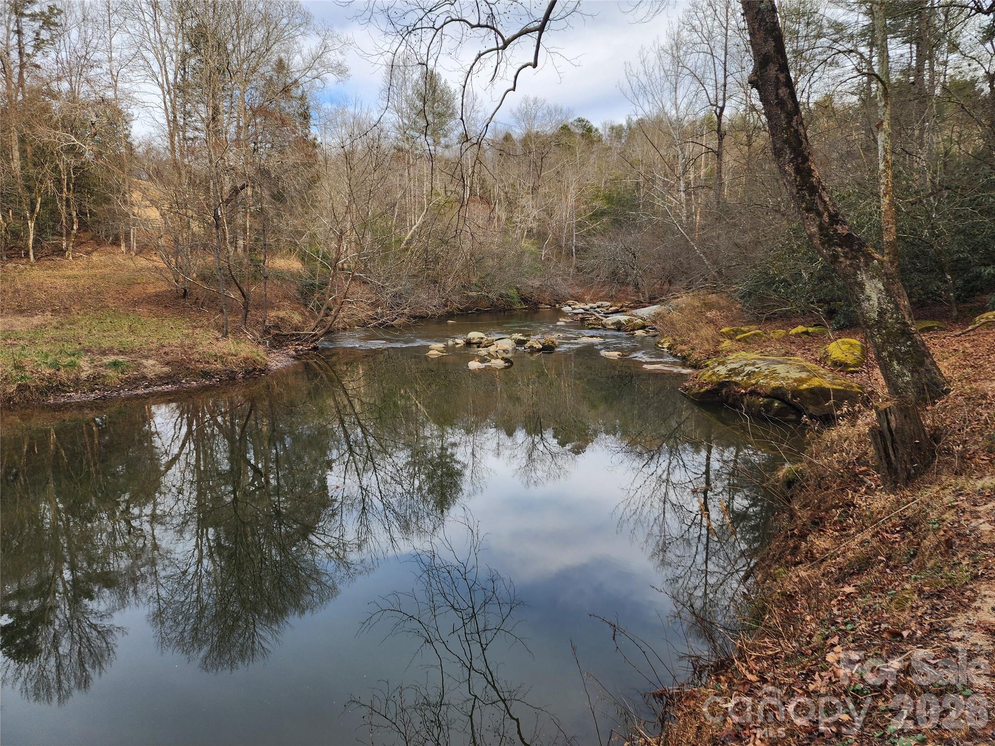 Roaring River Preserve - Land