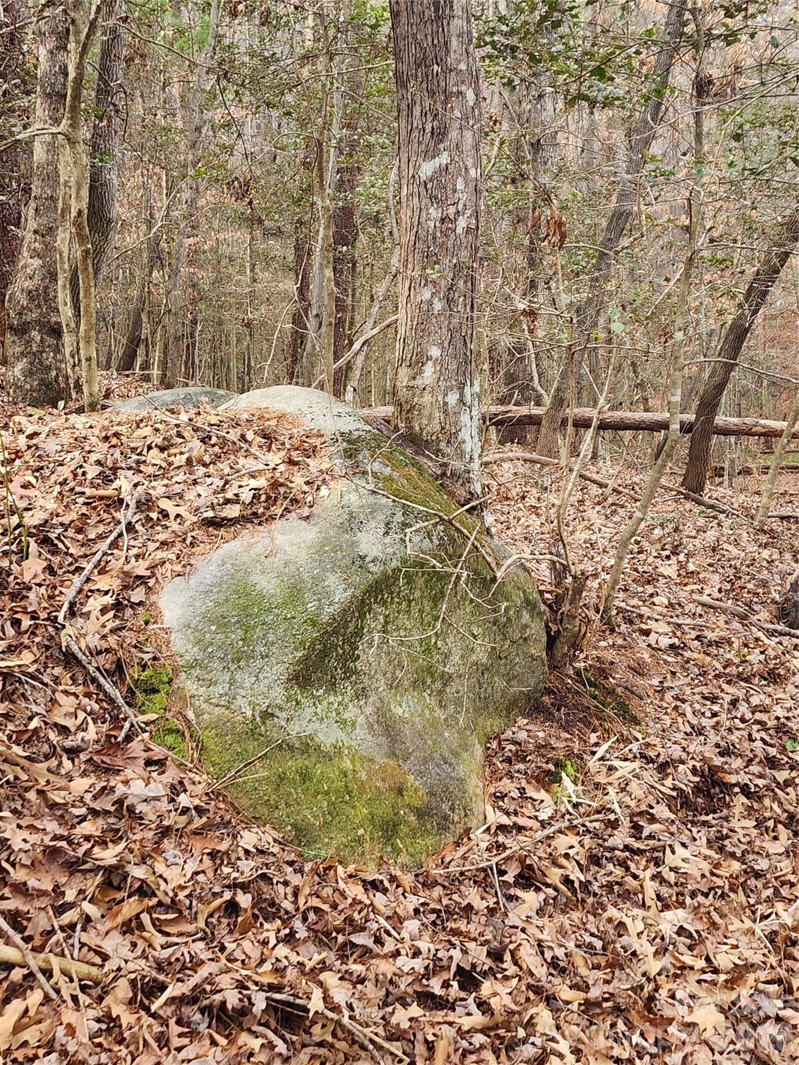 Roaring River Preserve - Land