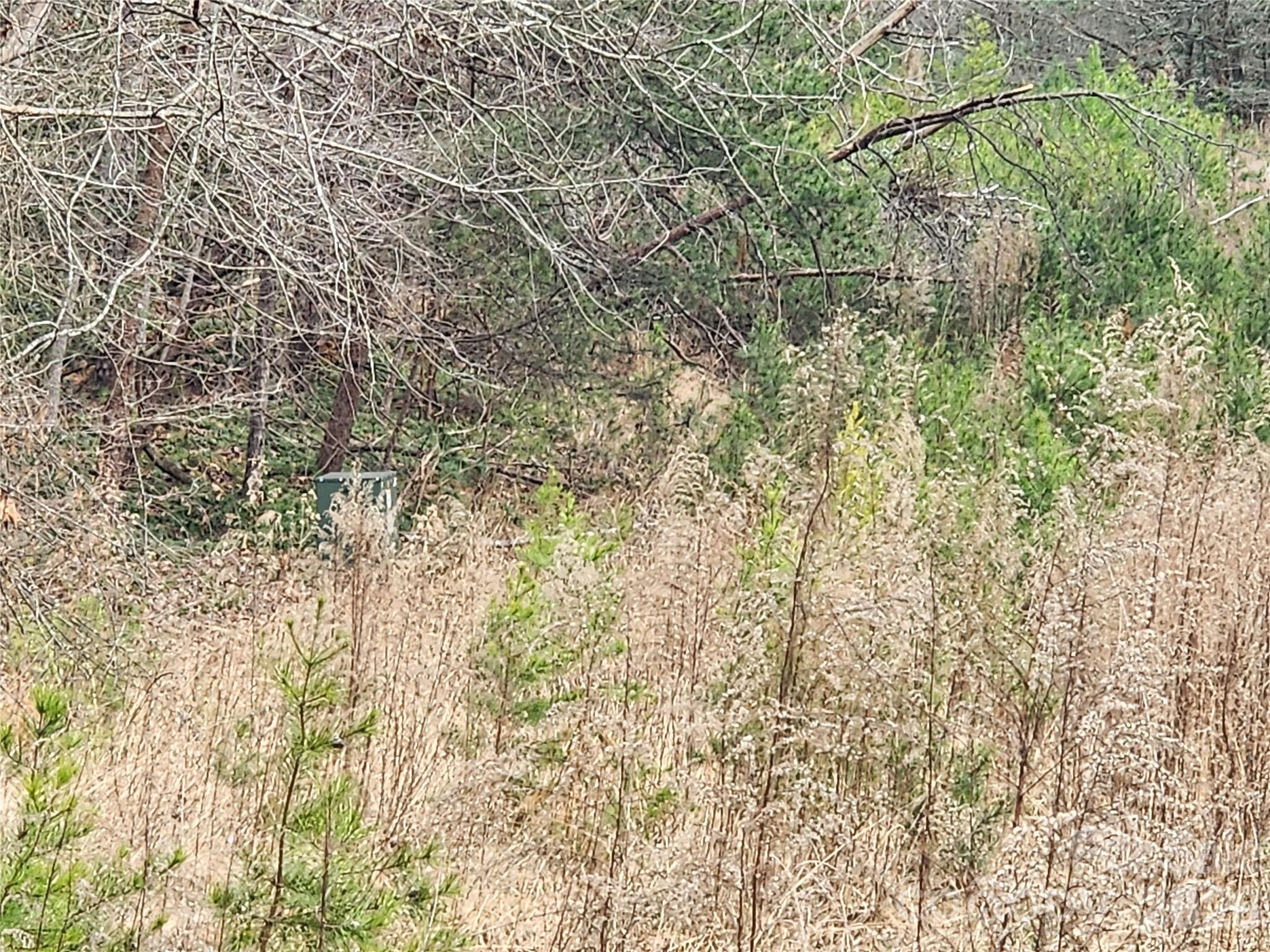 Roaring River Preserve - Land