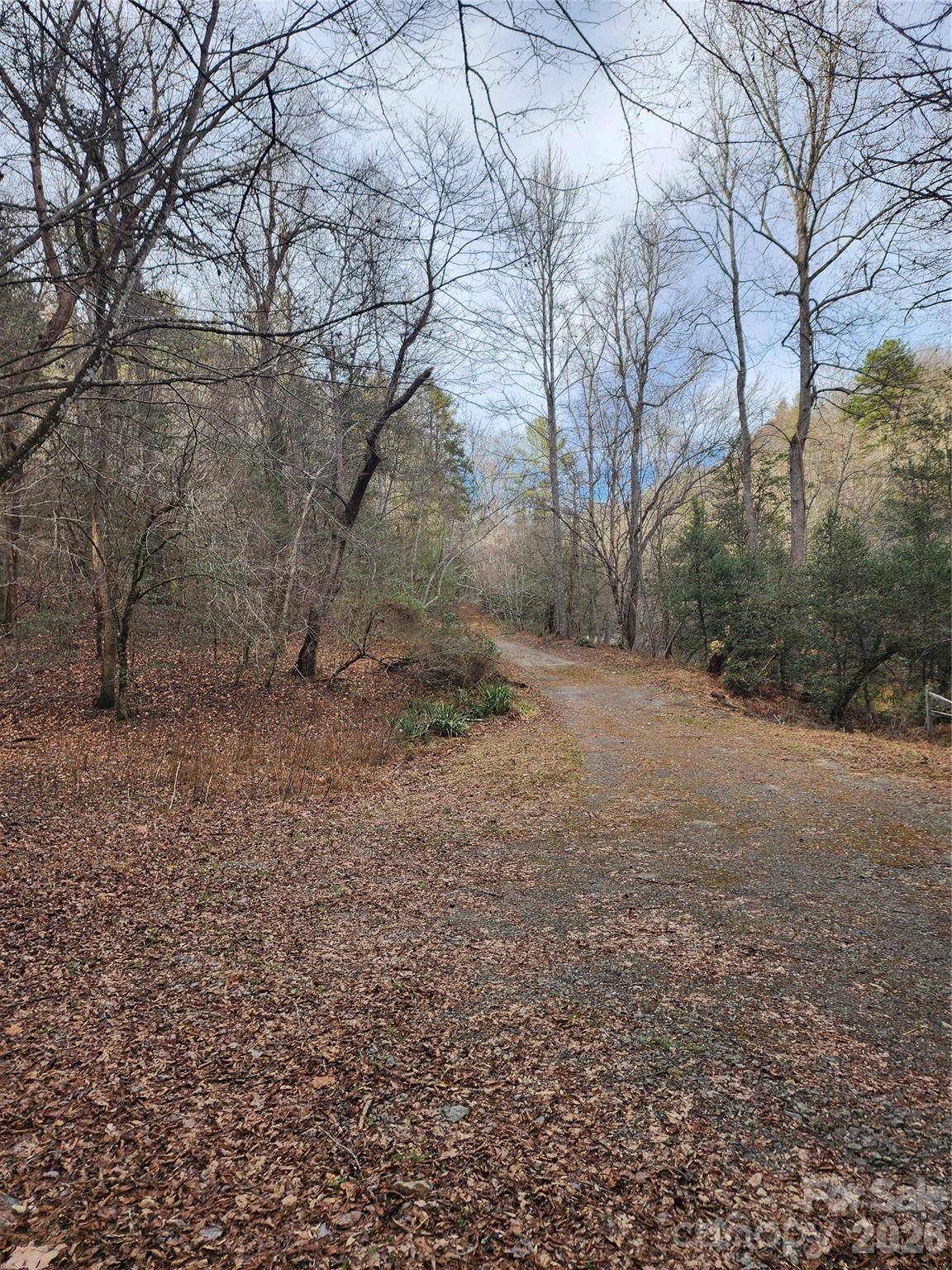 Roaring River Preserve - Land
