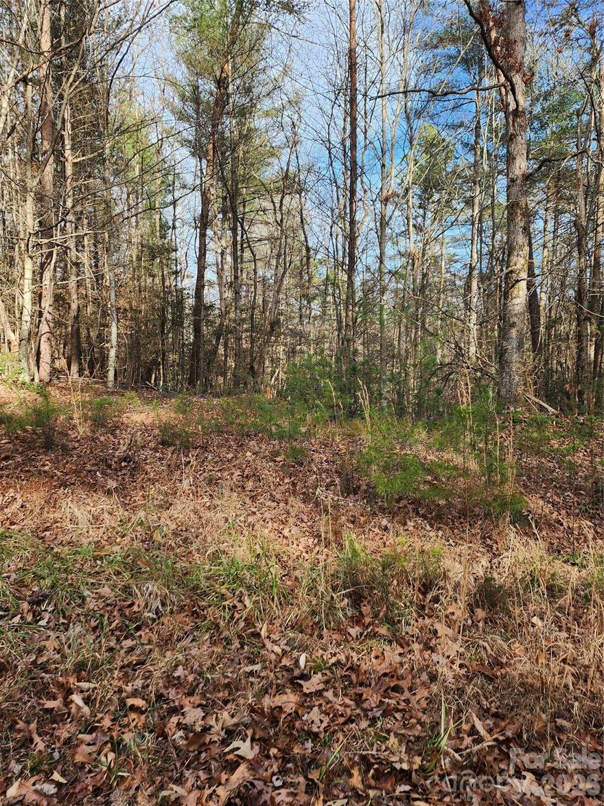 Lot 14 in Roaring River Farms is located in a gated community with very few homes, offering privacy, river access, and flexibility. No requirement to build, making this an ideal weekend getaway or recreational property. Per deed restrictions, owners may camp on their own lot for up to 30 days at a time.

The lot features underground power and internet, with well and septic required if building. If a home is constructed, it must be a minimum 1,200 sq ft stick-built residence; no manufactured or modular homes, and no long-term campers or temporary structures are permitted.

Community amenities include a riverfront common area with walking trails, picnic space, and direct access to the Roaring River, perfect for fishing, tubing, kayaking, and relaxing. $200 annual fee covers road, gate, and common area maintenance.

Additional adjoining lots available from a different seller for buyers seeking more acreage.

A rare opportunity to own a gated river-access lot you can enjoy now and build later—if ever.