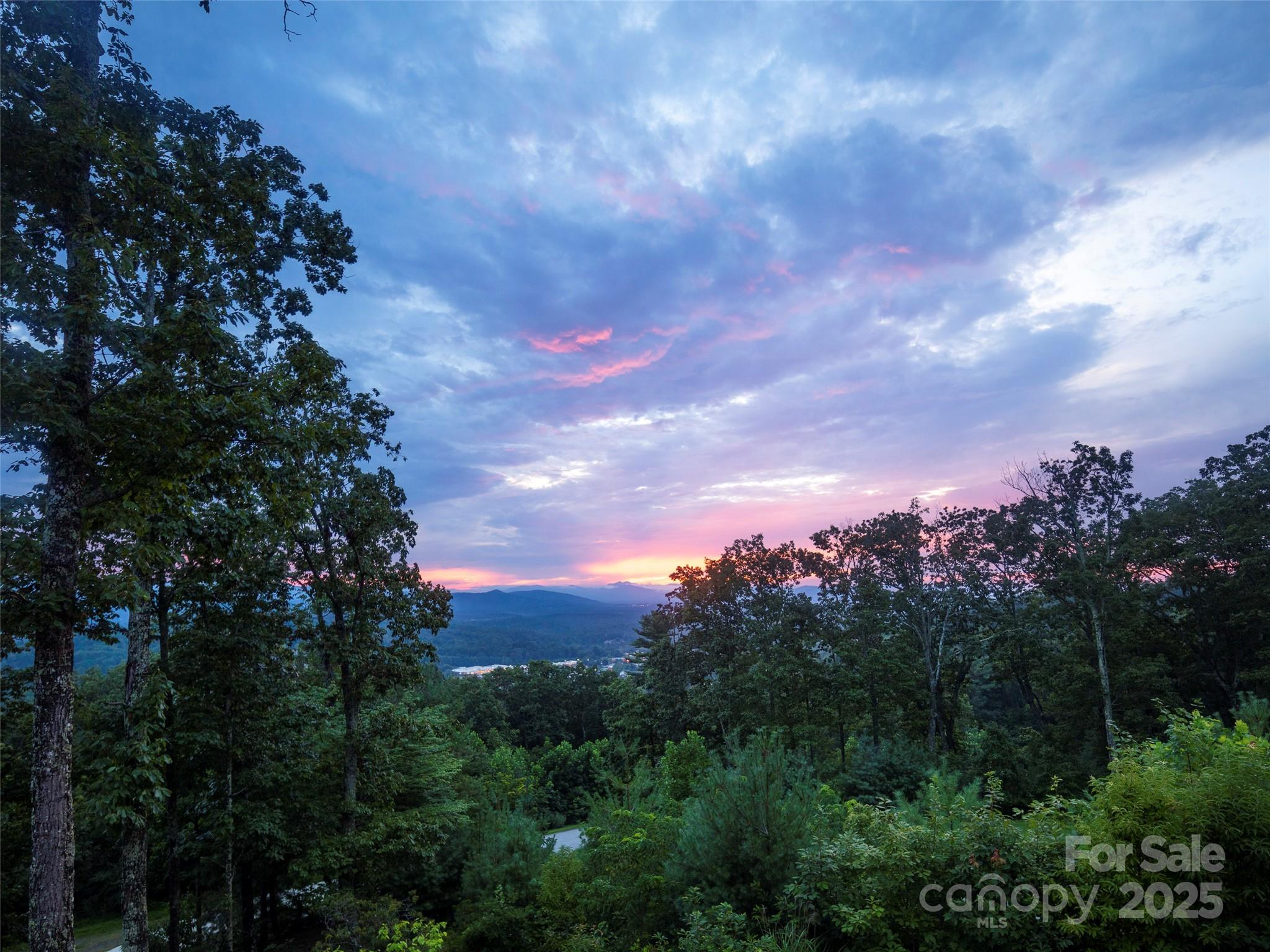 Pinchot Forest - Residential