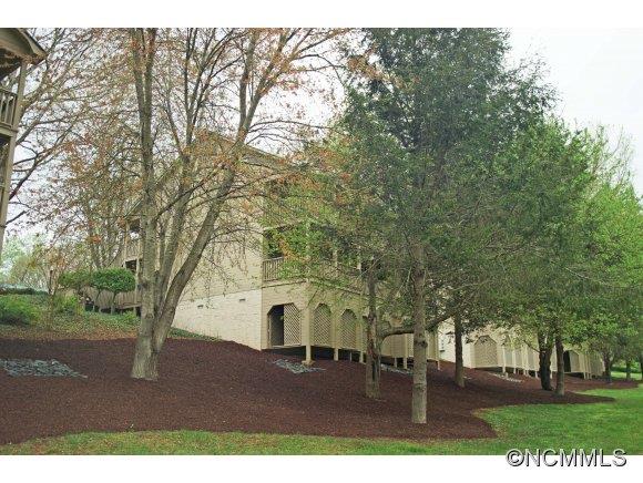 Rumbling Bald on Lake Lure - Residential