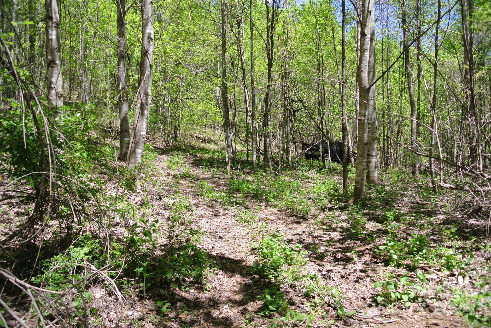 0 Pond Road