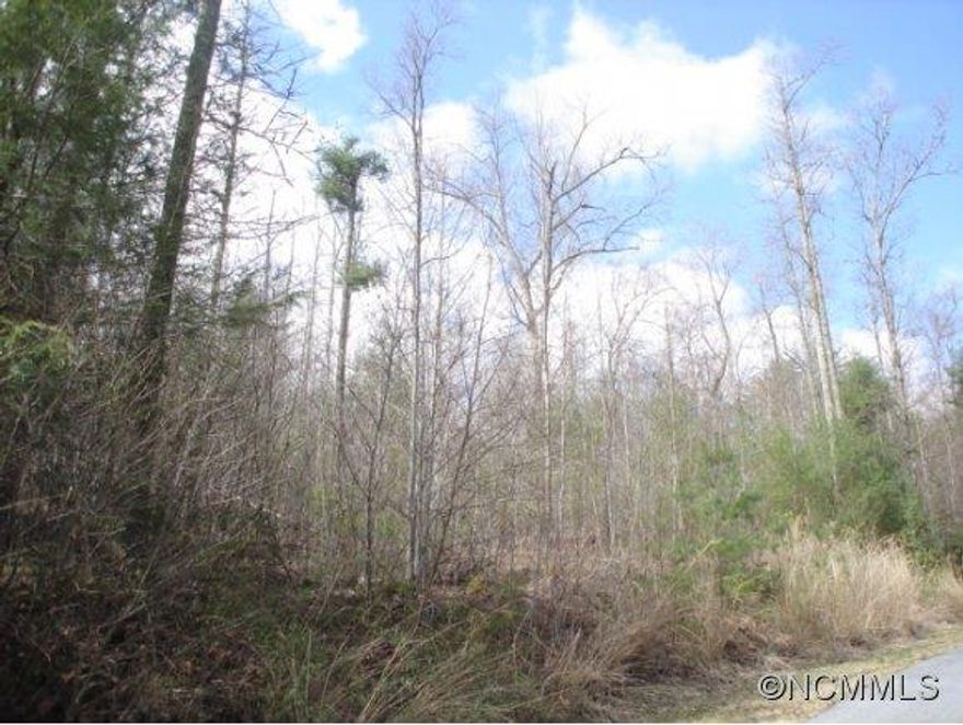 TERRIFIC WOODED BUILDING LOT ON DEAD END LANE IN SMALL SUBDIVISION. VERY PRIVATE SETTING. 1800 MINIMUM FOR 1 LEVEL HOME, 2200 SF MINIMUM FOR HOME WITH MULTIPLE LEVELS (MUST HAVE 1600 SF FINISHED AREA ON THE ML). TERRIFIC LOCATION. LOT LAYS WELL.