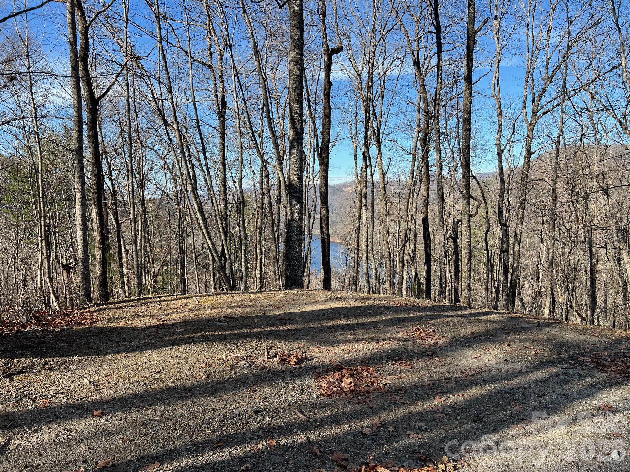 Bear Lake Reserve - Land