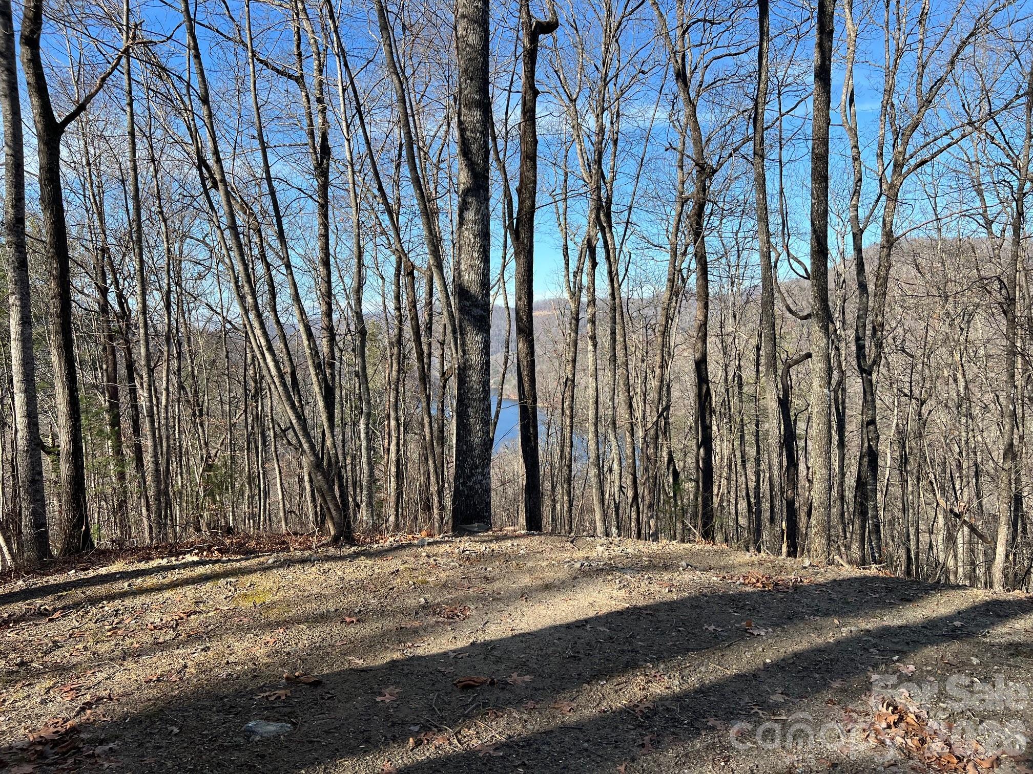Bear Lake Reserve - Land