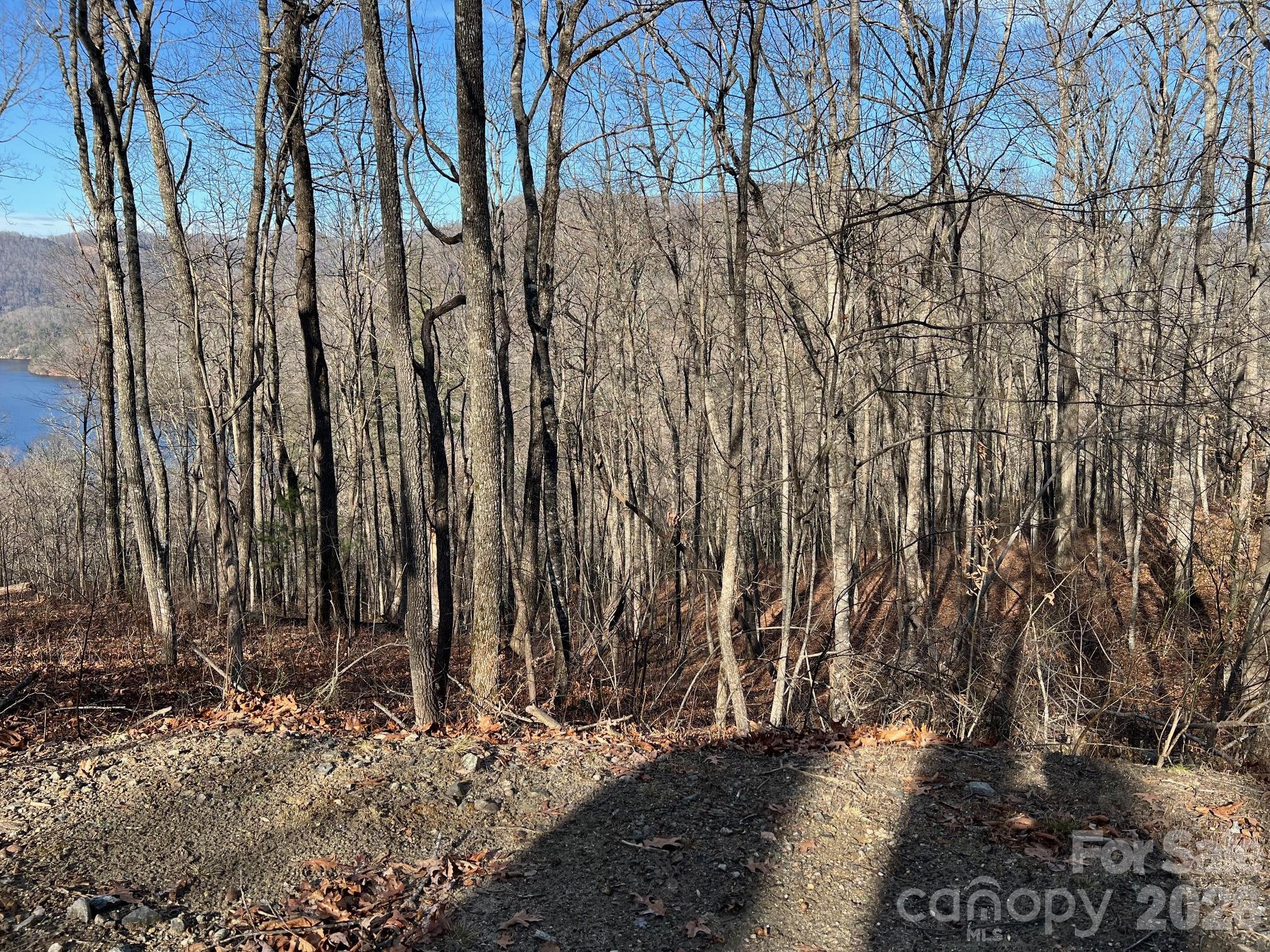 Bear Lake Reserve - Land