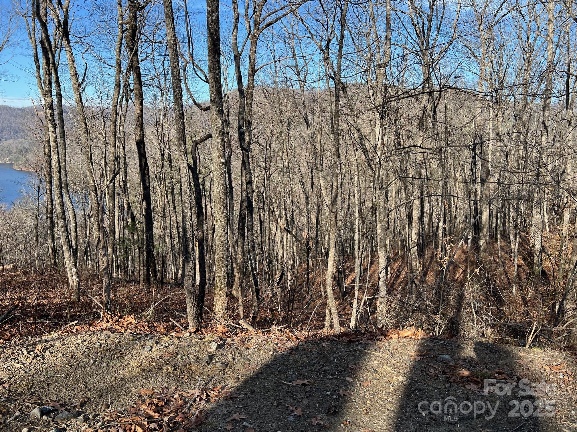 762 Scarlet Oak Road