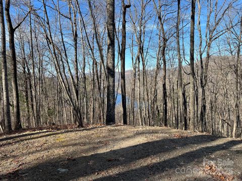 762 Scarlet Oak Road Tuckasegee NC 28783