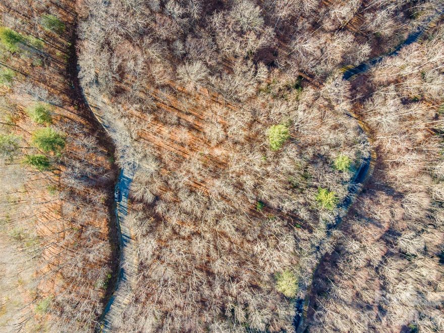 Build your dream home here at beautiful Bear Lake Reserve. This lot has year round mountain and views of the lake. Bear Lake Reserve is a gated community near Cashiers NC and offers many amenities from the Lake Club with fine dining to casual food in the Tap Room. At the Lake Club you will enjoy  2 heated pools, 2 hot tubs, Bear n Bean Store, Fitness center and a movie theater  We have the only 9 hole golf course that Jack Nicholson ever designed and we have tennis courts/pickleball courts. Enjoy all the hiking trails and all the Bear Lake has to offer. 
Bring your builder or we have that you can connect with. When not enjoying your mountain get away make it available as a vacation rental. Schedule your tour of all that Bear Lake Reserve has to offer!
Lot is subject to a one time buy in initiation fee of $40,000 ( current owner at Bear Lake Reserve is $30,000), a $50.00 set up fee and a quarter of 1% club contribution fee.