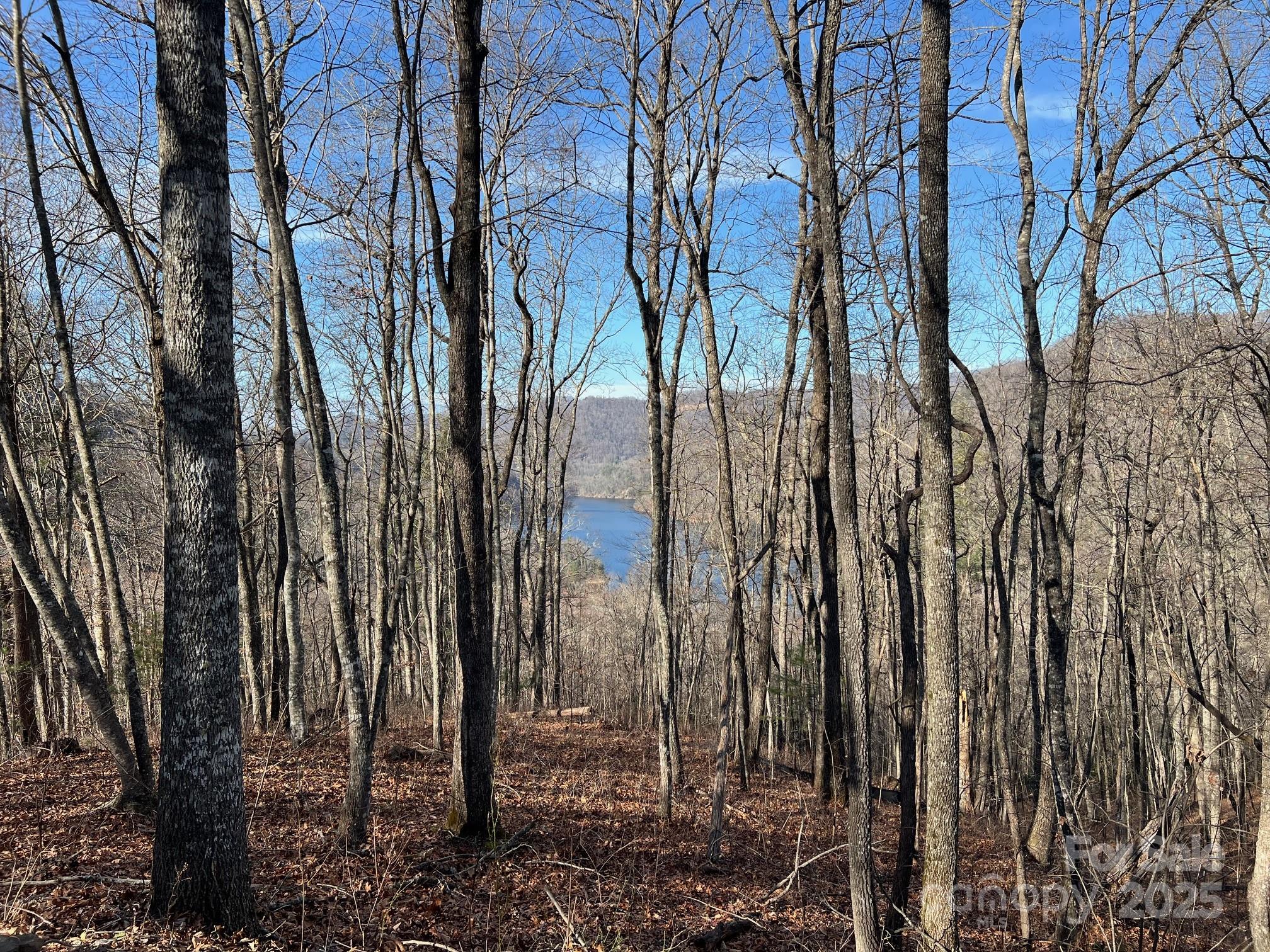 762 Scarlet Oak Road