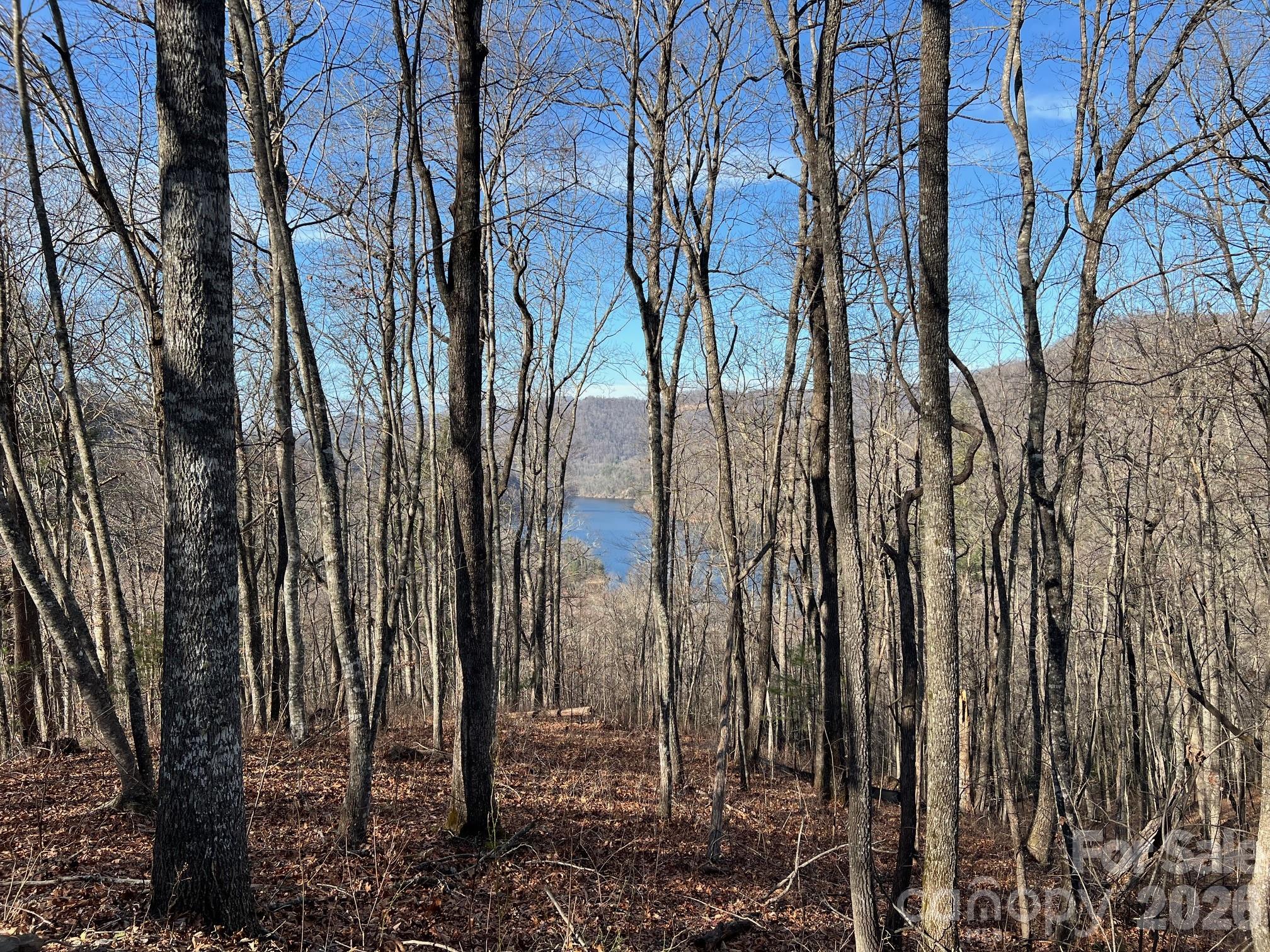 Bear Lake Reserve - Land