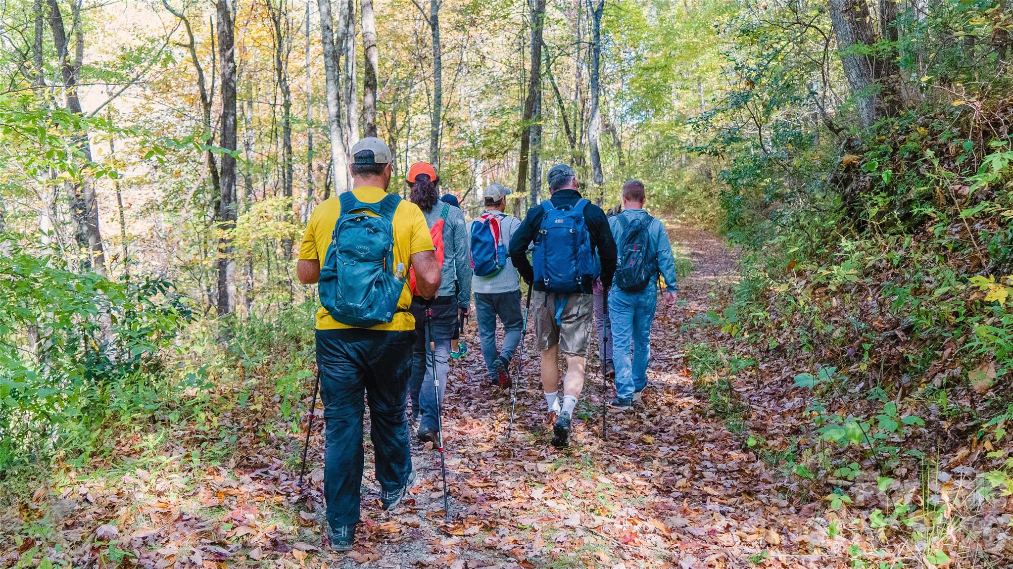 Bear Lake Reserve - Land
