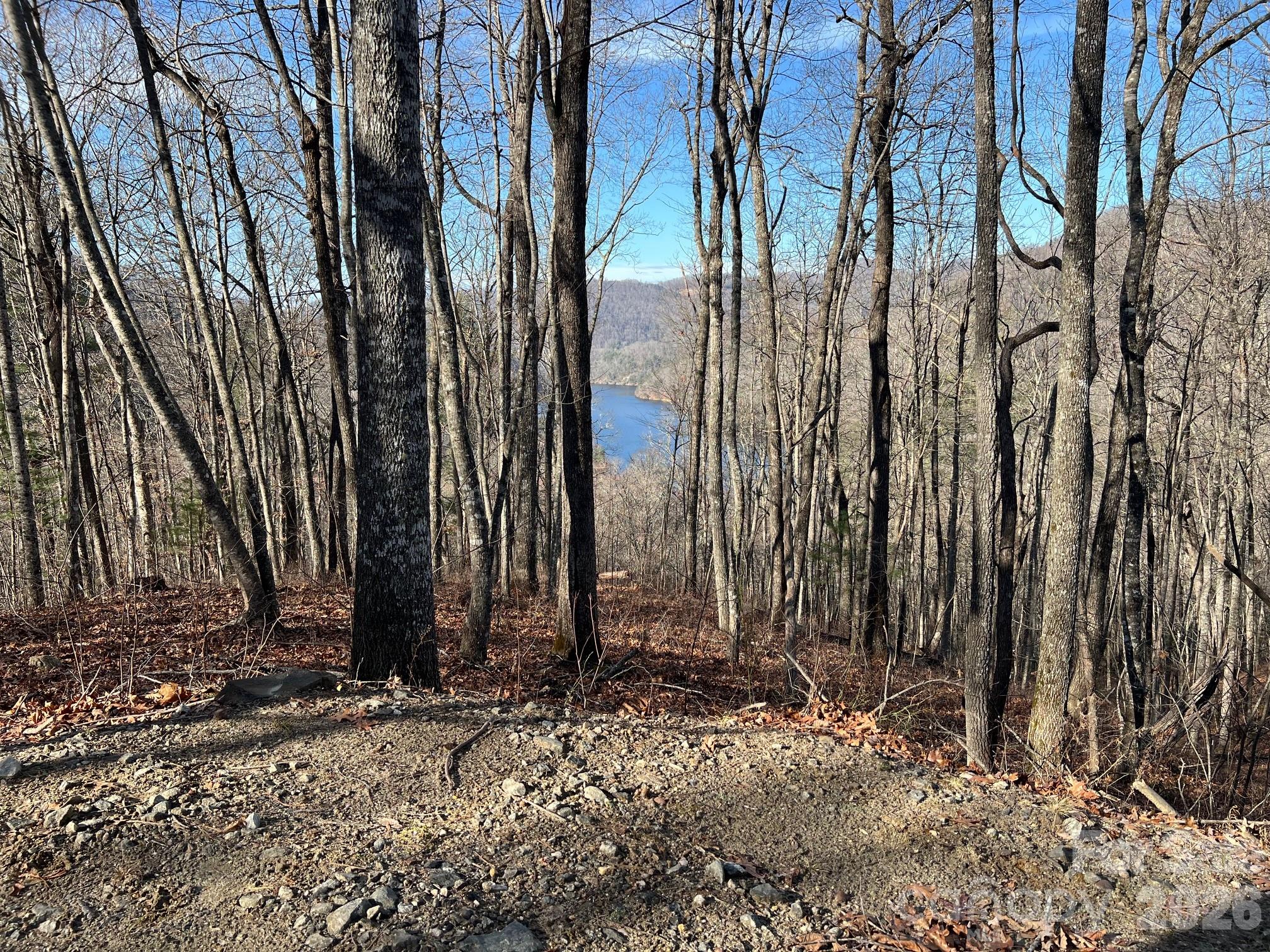 Bear Lake Reserve - Land