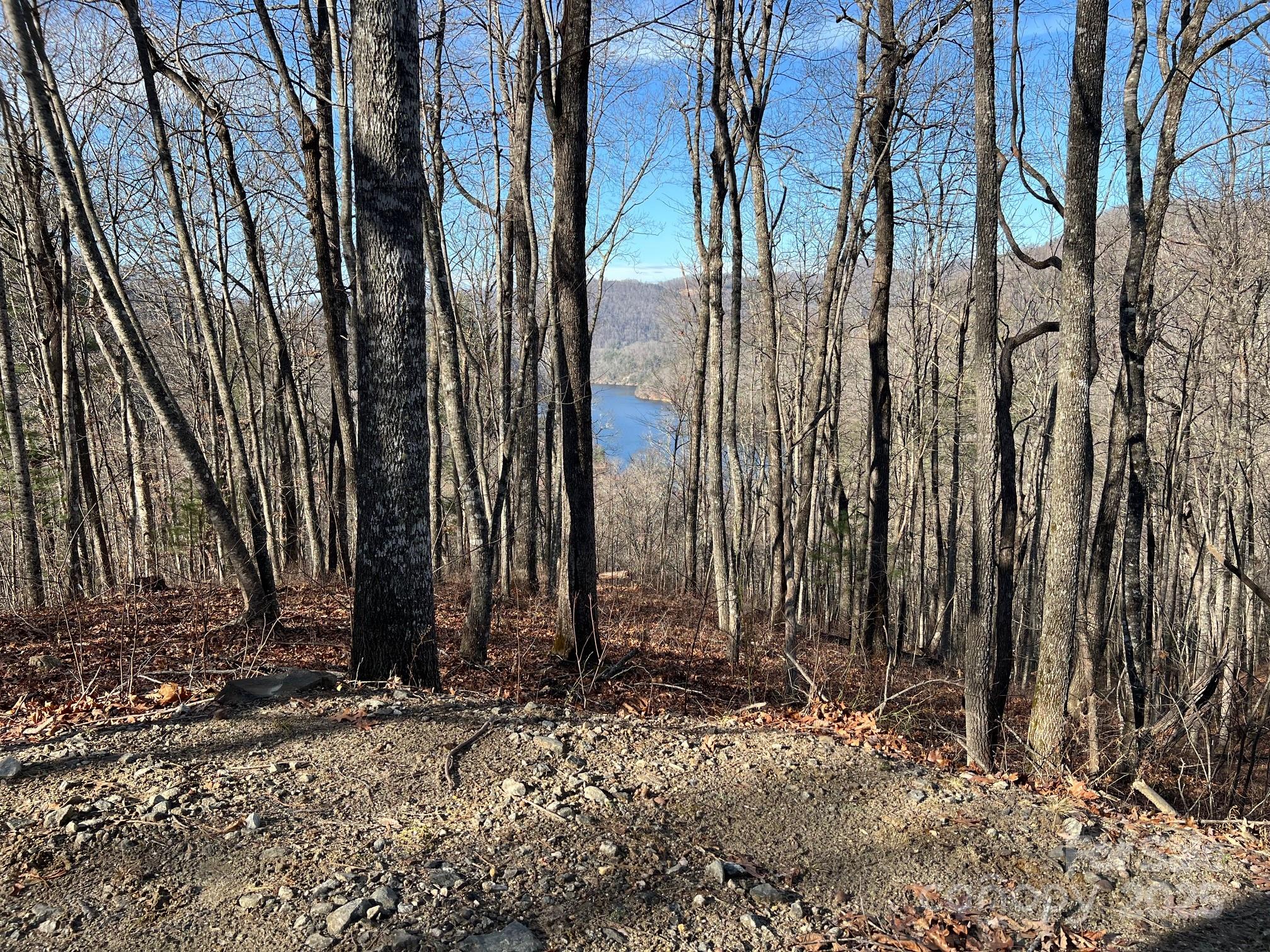 762 Scarlet Oak Road