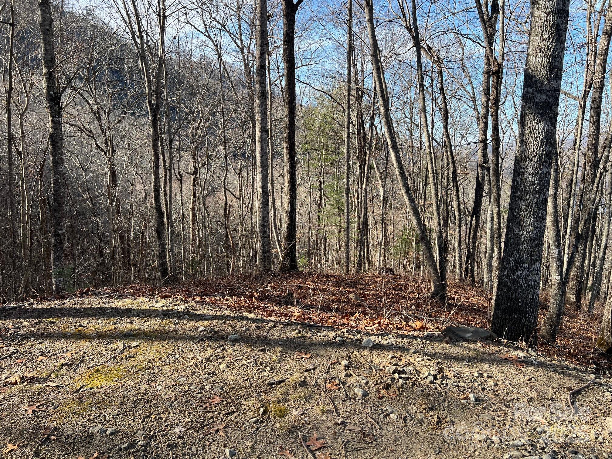 762 Scarlet Oak Road