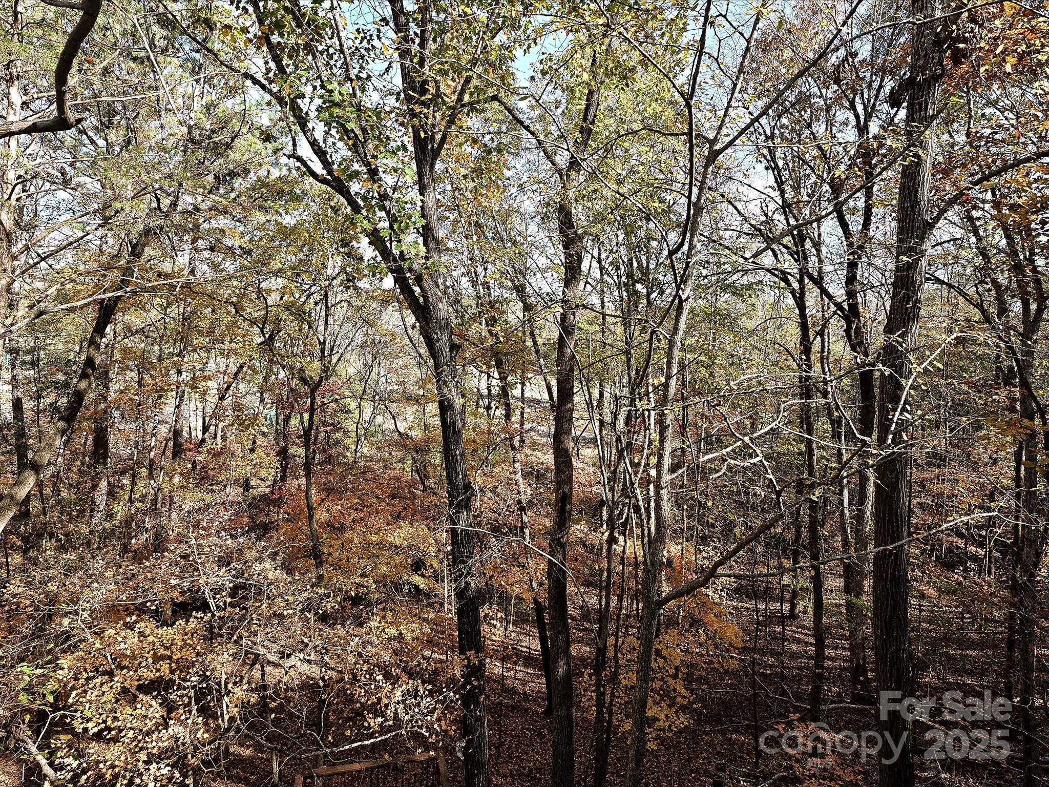 Tega Cay - Residential