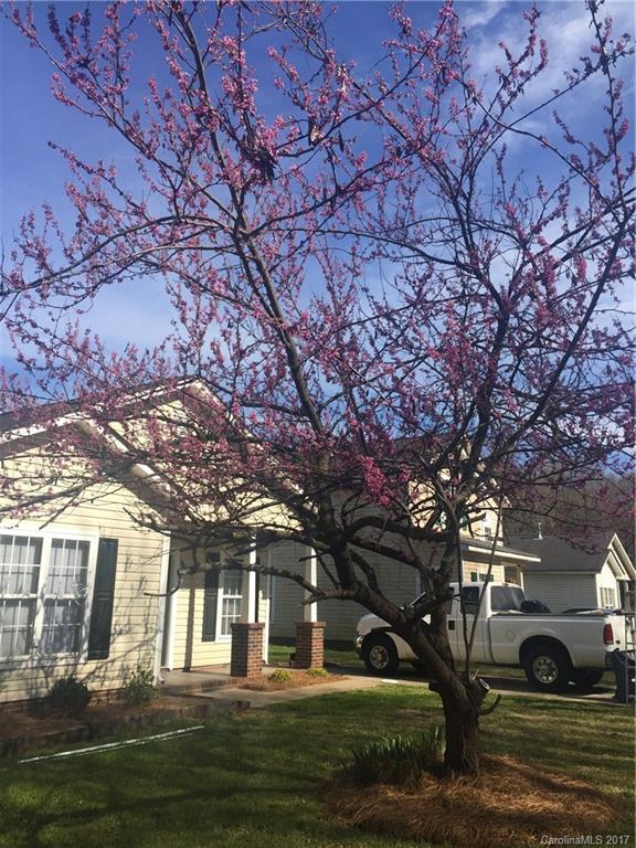 City View Heights - Residential