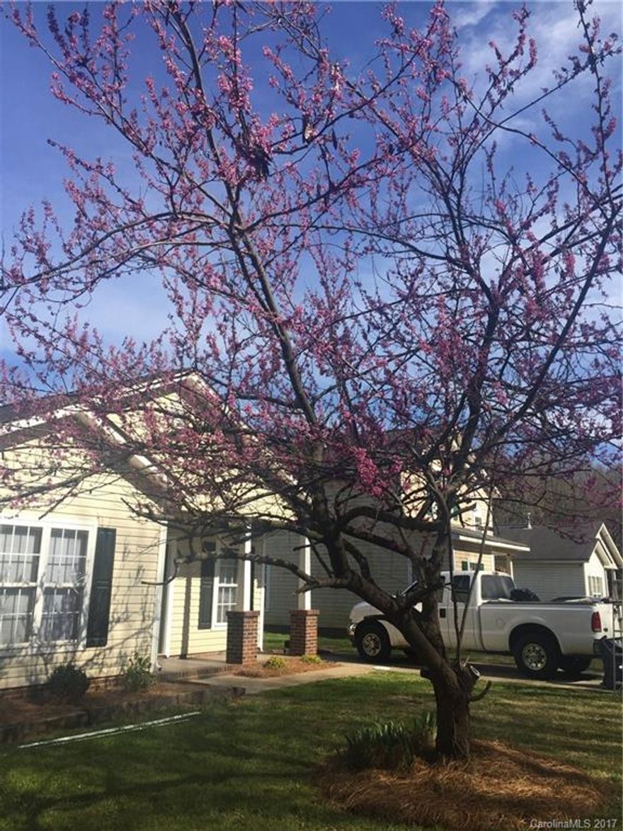 Great Home. Newly renovated!!Open floor plan with new kitchen and cabinets,back splash and granite counters.Just few minutes from Uptown//convenient location to I-77 and I-85. Must see it.