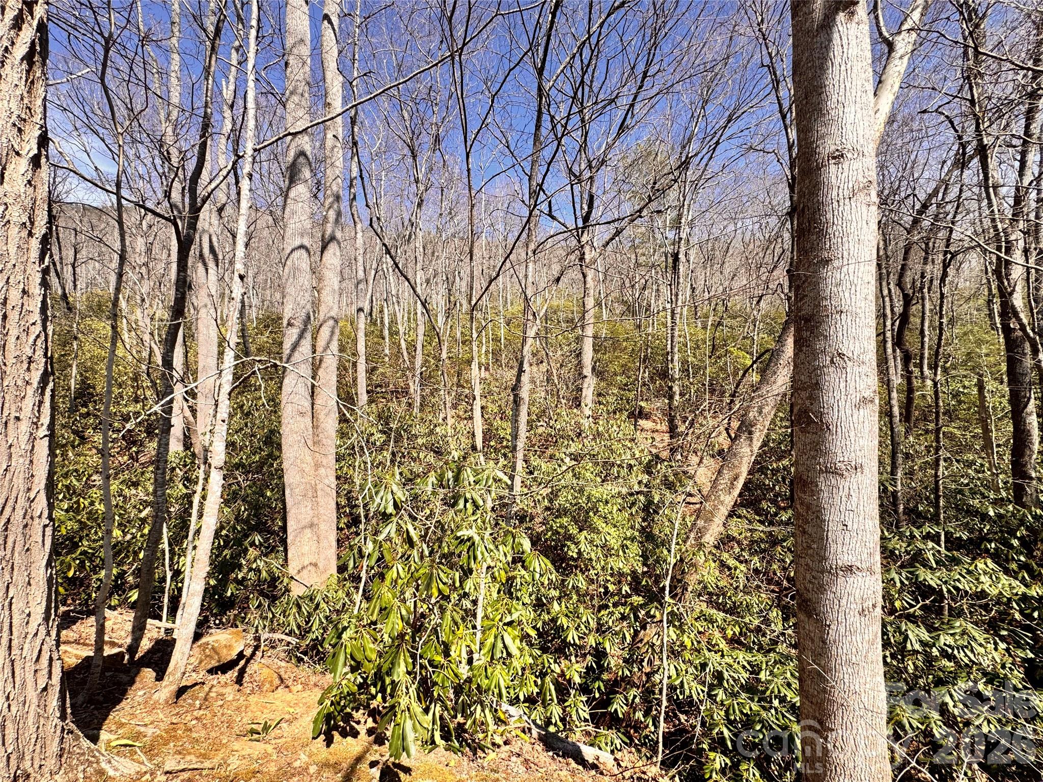 212 Harmony Lane 1142